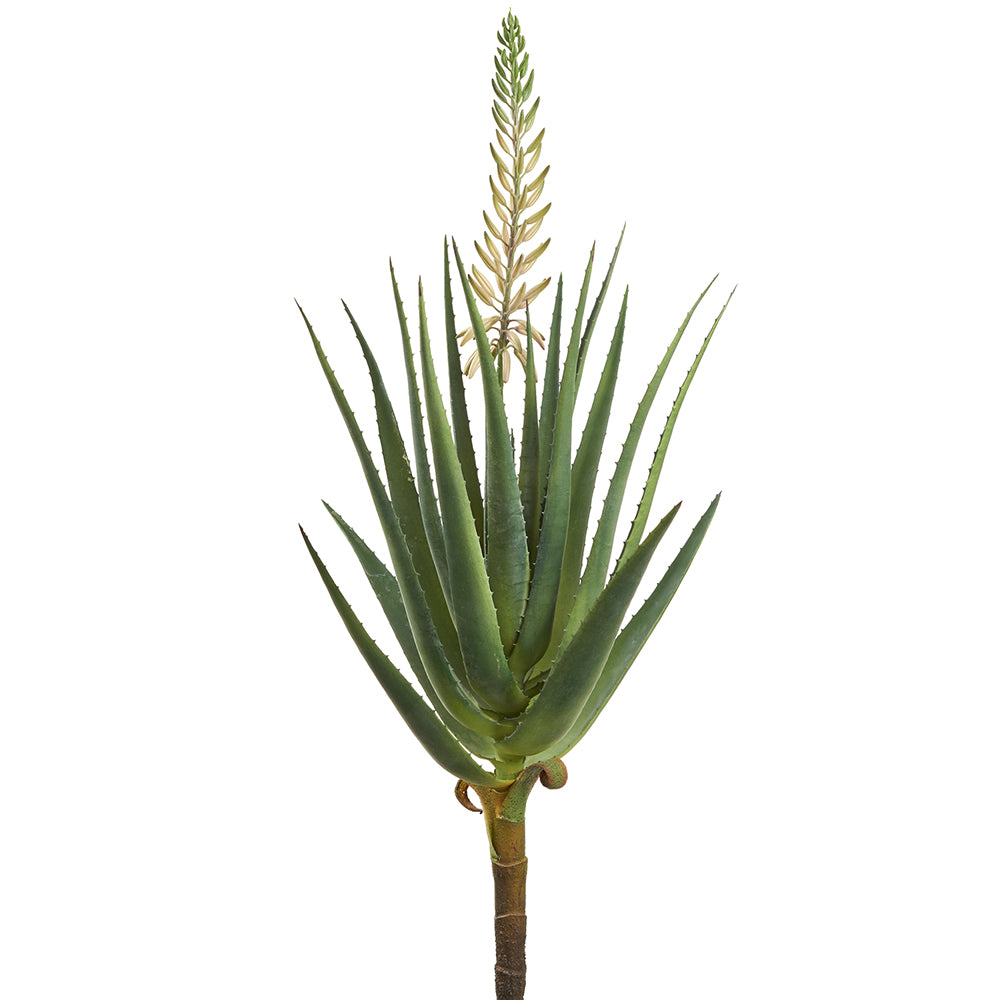 44.75" Blooming Agave Plant White Green (2 Pcs Per Box) #CP2997-WH/GR
