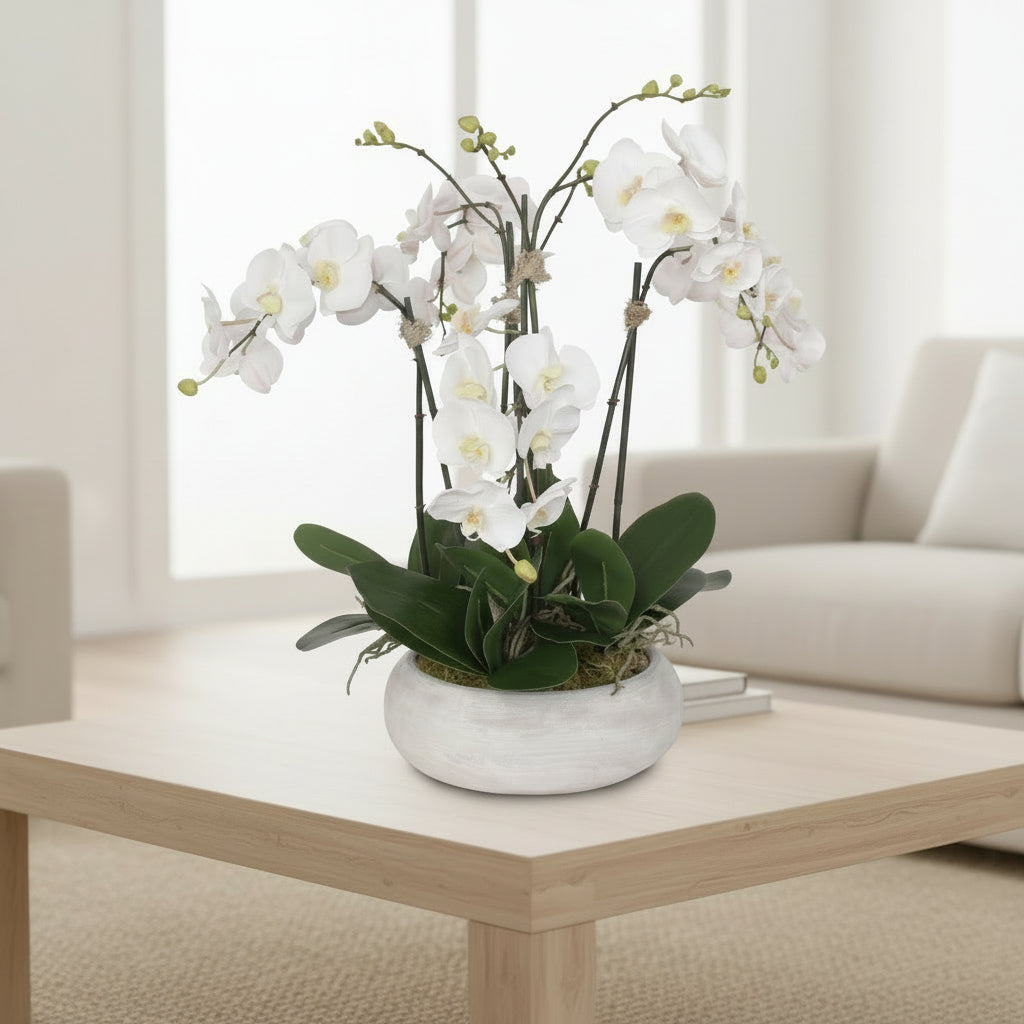 Two Tone White Orchid in Wash Stone Round Pot #F-102