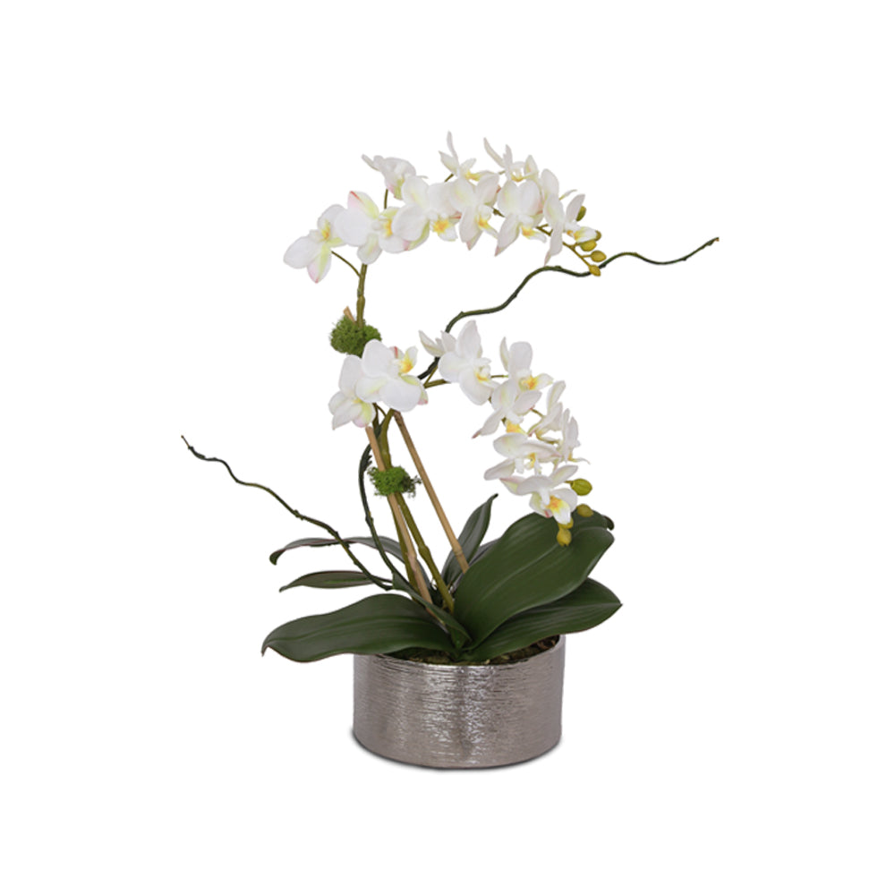 Real Touch White, Pink Accent Phalaenopsis Orchids Arrangement in Round Silver Ceramic Pot # F-126