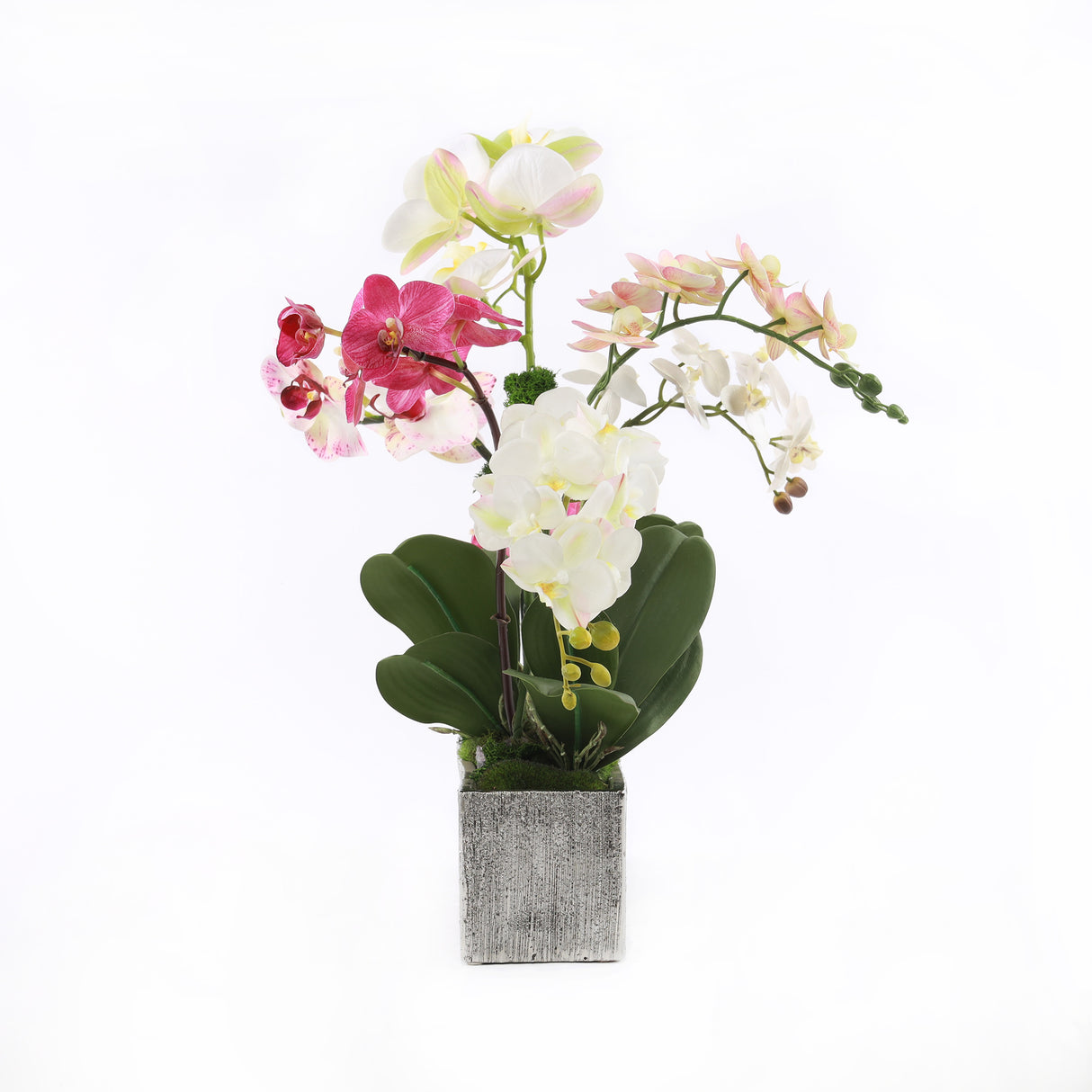 Real Touch Phalaenopsis Orchids in Luxe Silver Ceramic Pot #F-186