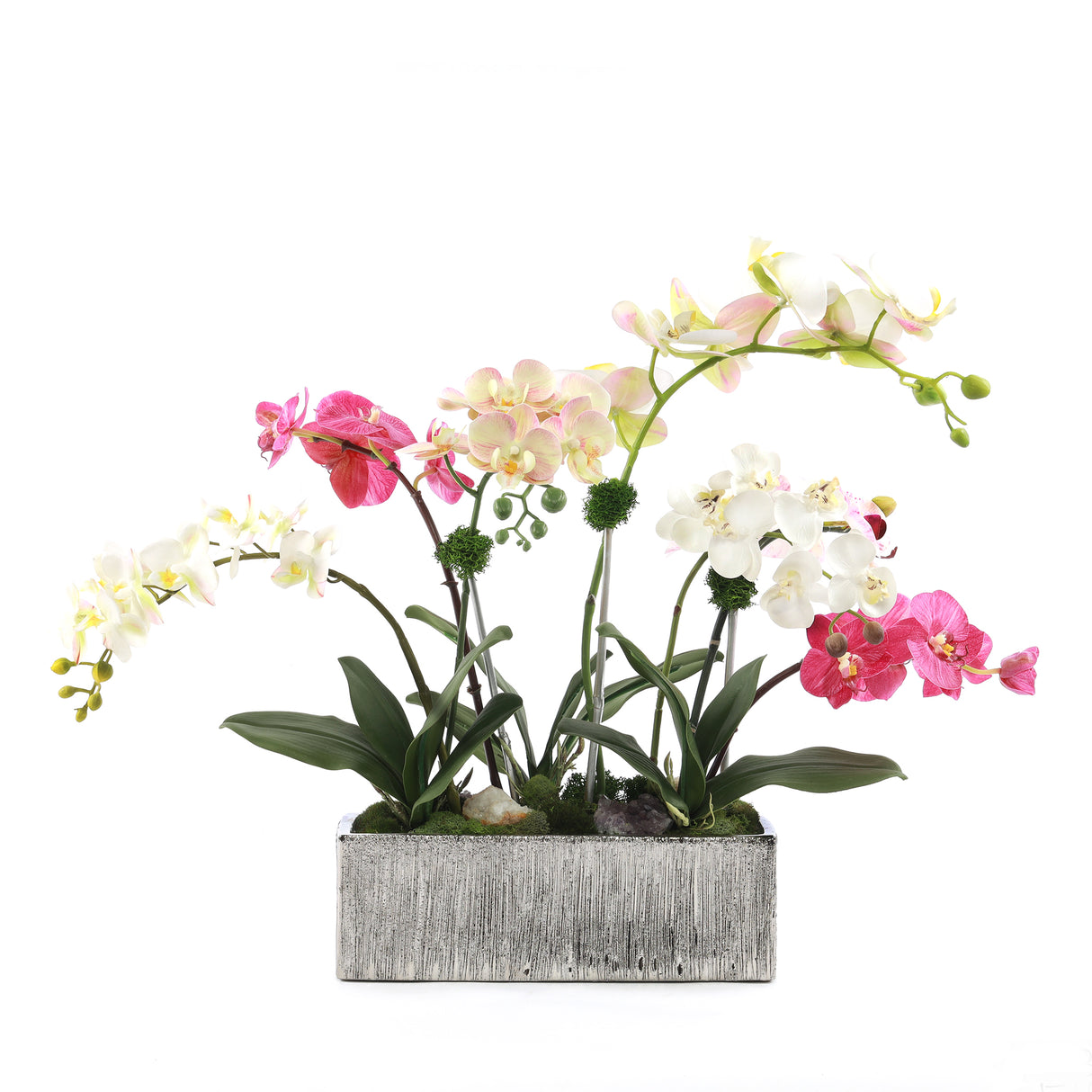 Real Touch Phalaenopsis Orchids in Luxe Silver Ceramic Pot #F-186