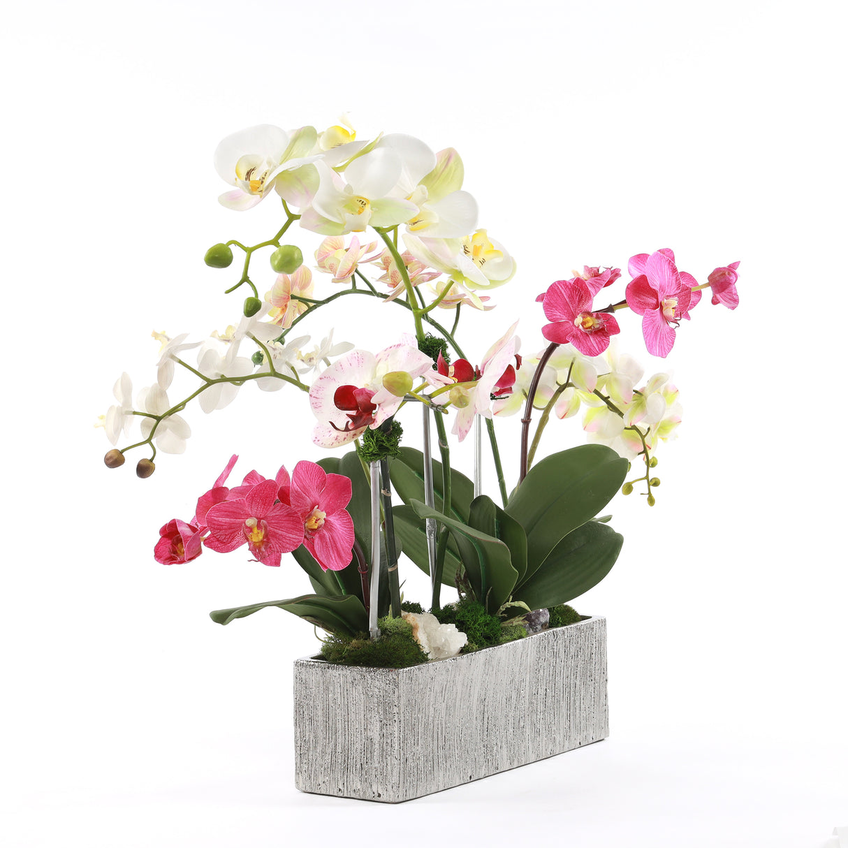 Real Touch Phalaenopsis Orchids in Luxe Silver Ceramic Pot #F-186