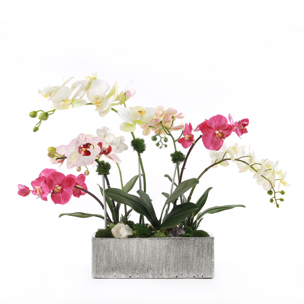 Real Touch Phalaenopsis Orchids in Luxe Silver Ceramic Pot #F-186
