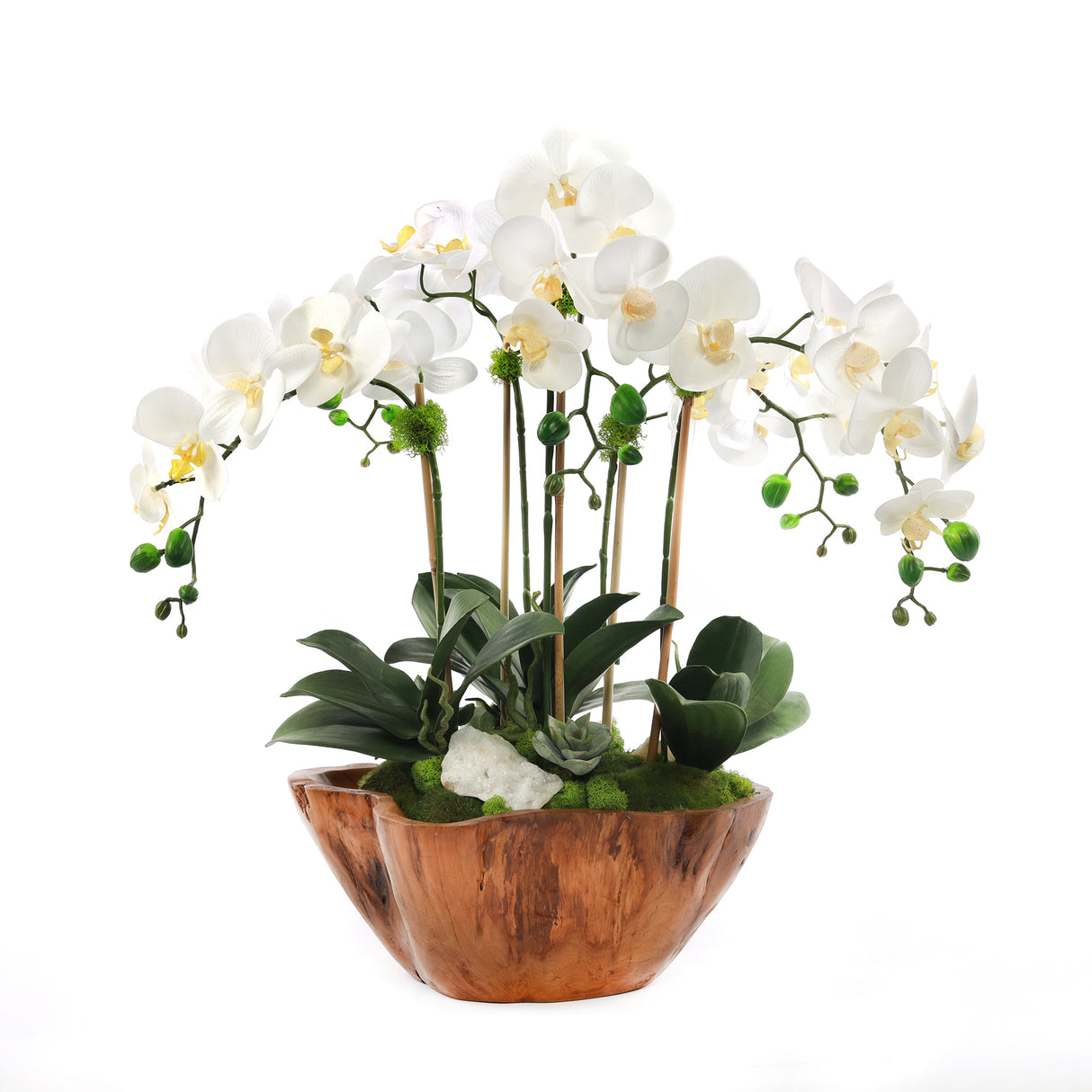 White Real Touch Phalaenopsis Orchids in Rustic Teak Bowl #F-187