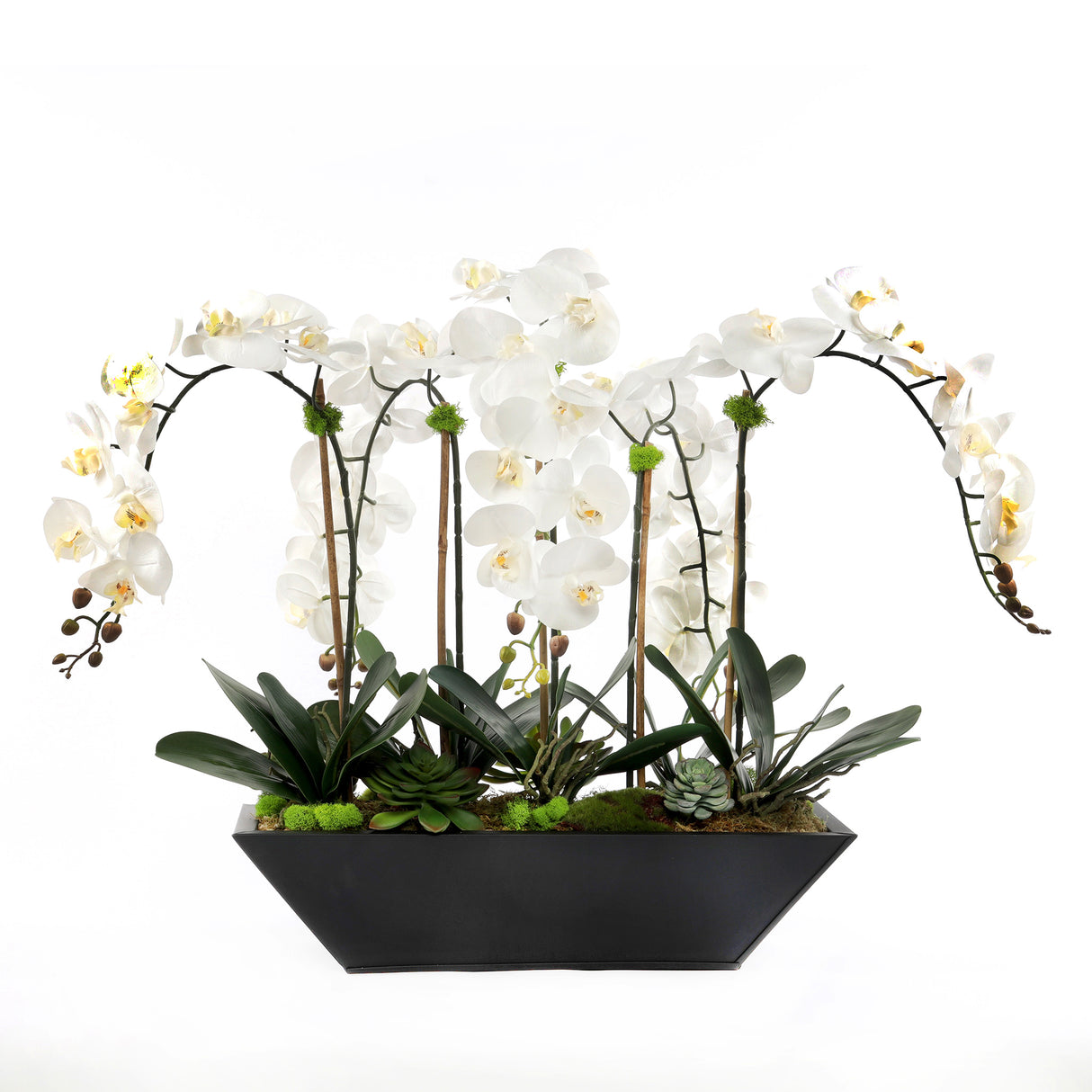 Cream White Real Touch Phalaenopsis Orchids in Modern Black Pot #F-188