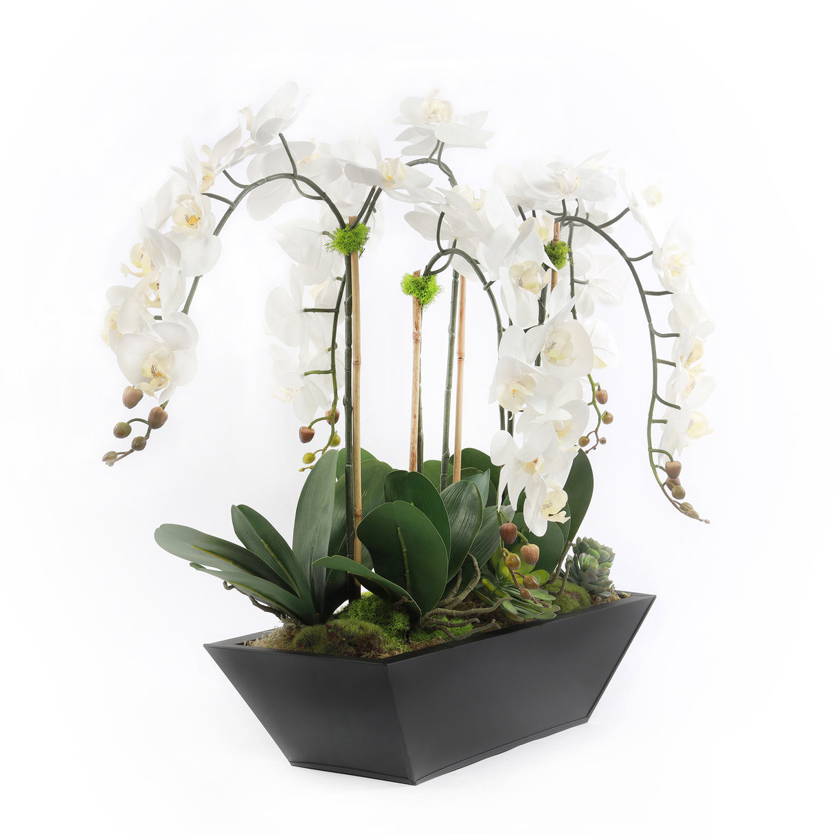 Cream White Real Touch Phalaenopsis Orchids in Modern Black Pot #F-188
