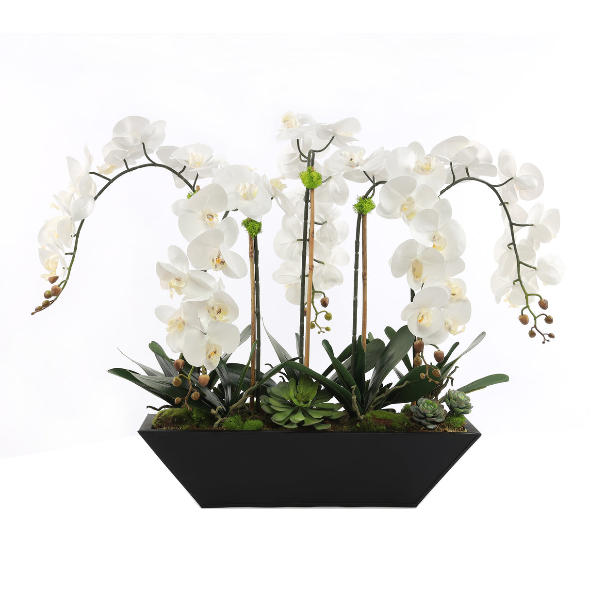 Cream White Real Touch Phalaenopsis Orchids in Modern Black Pot #F-188