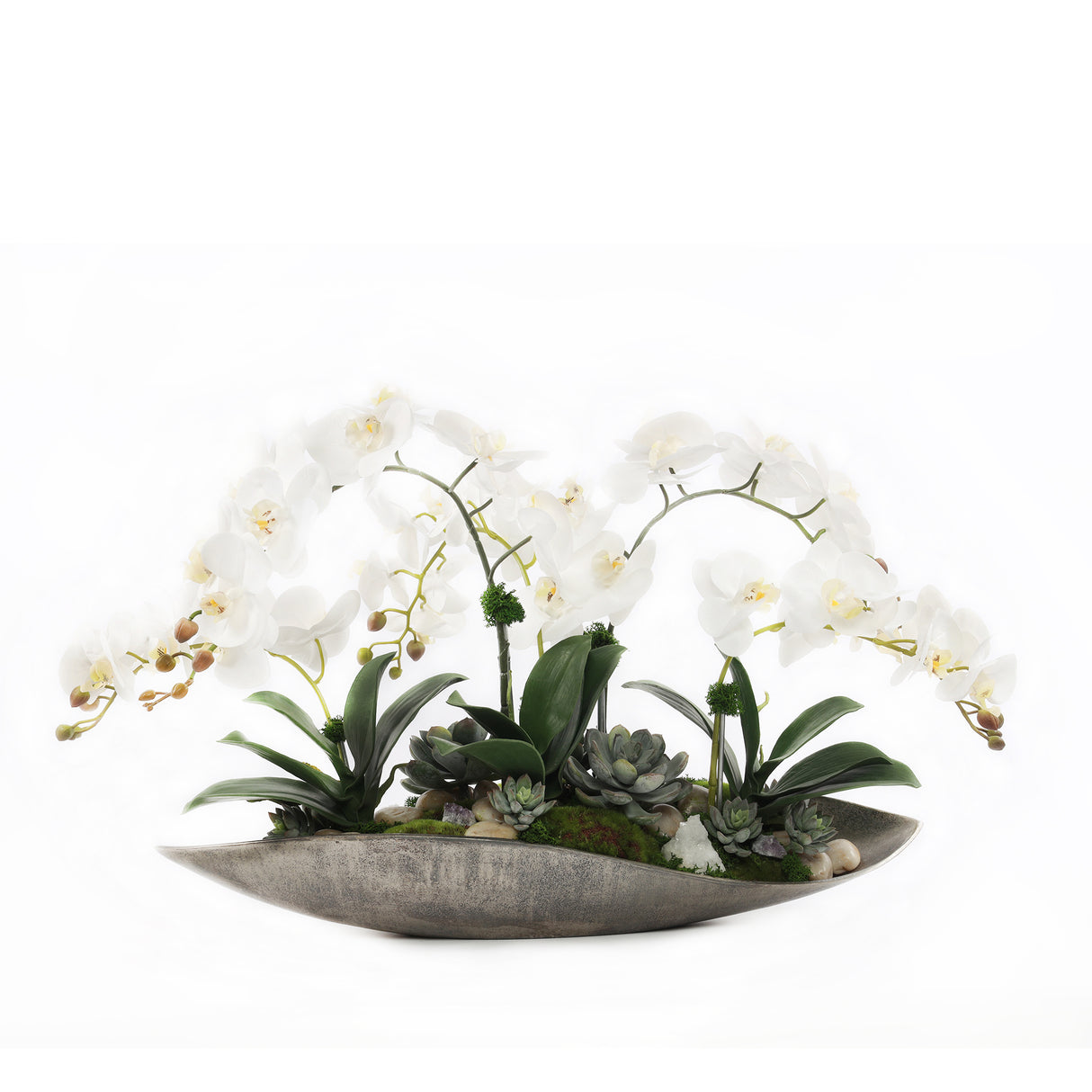 Cream White Real Touch Phalaenopsis Orchids in Large Metal Tray #F-189