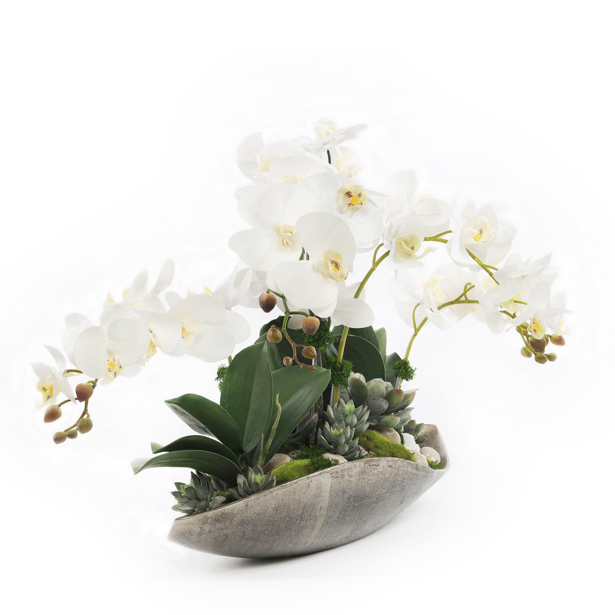 Cream White Real Touch Phalaenopsis Orchids in Large Metal Tray #F-189