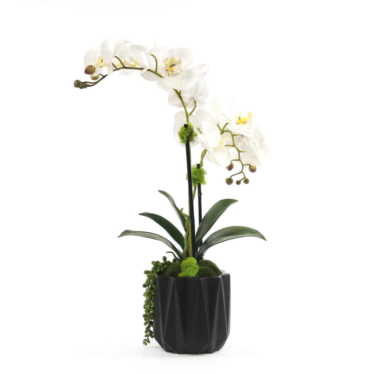 Modern Cream White Faux Orchids Arrangement in Black Matte Ceramic Pot #F-191