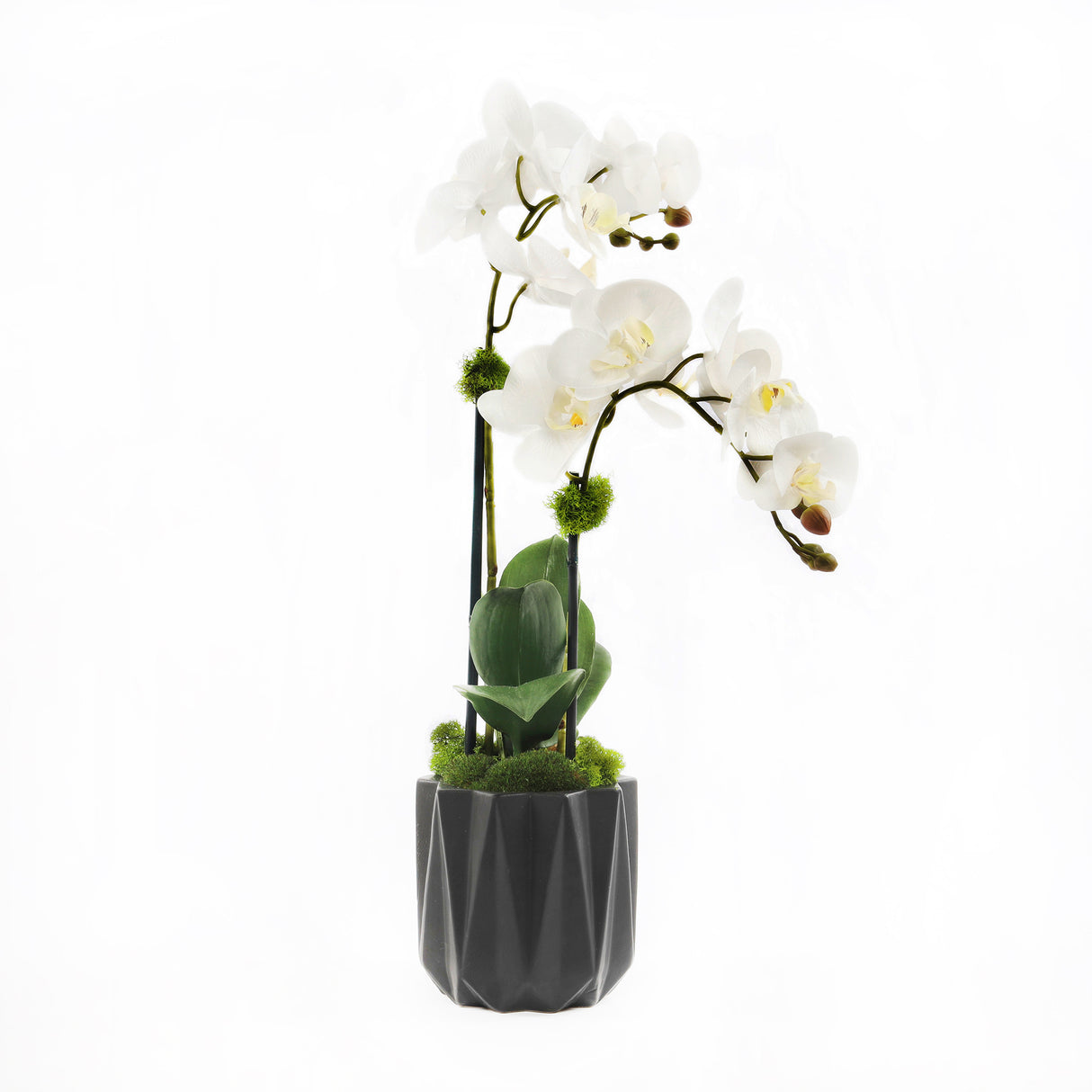 Modern Cream White Faux Orchids Arrangement in Black Matte Ceramic Pot #F-191