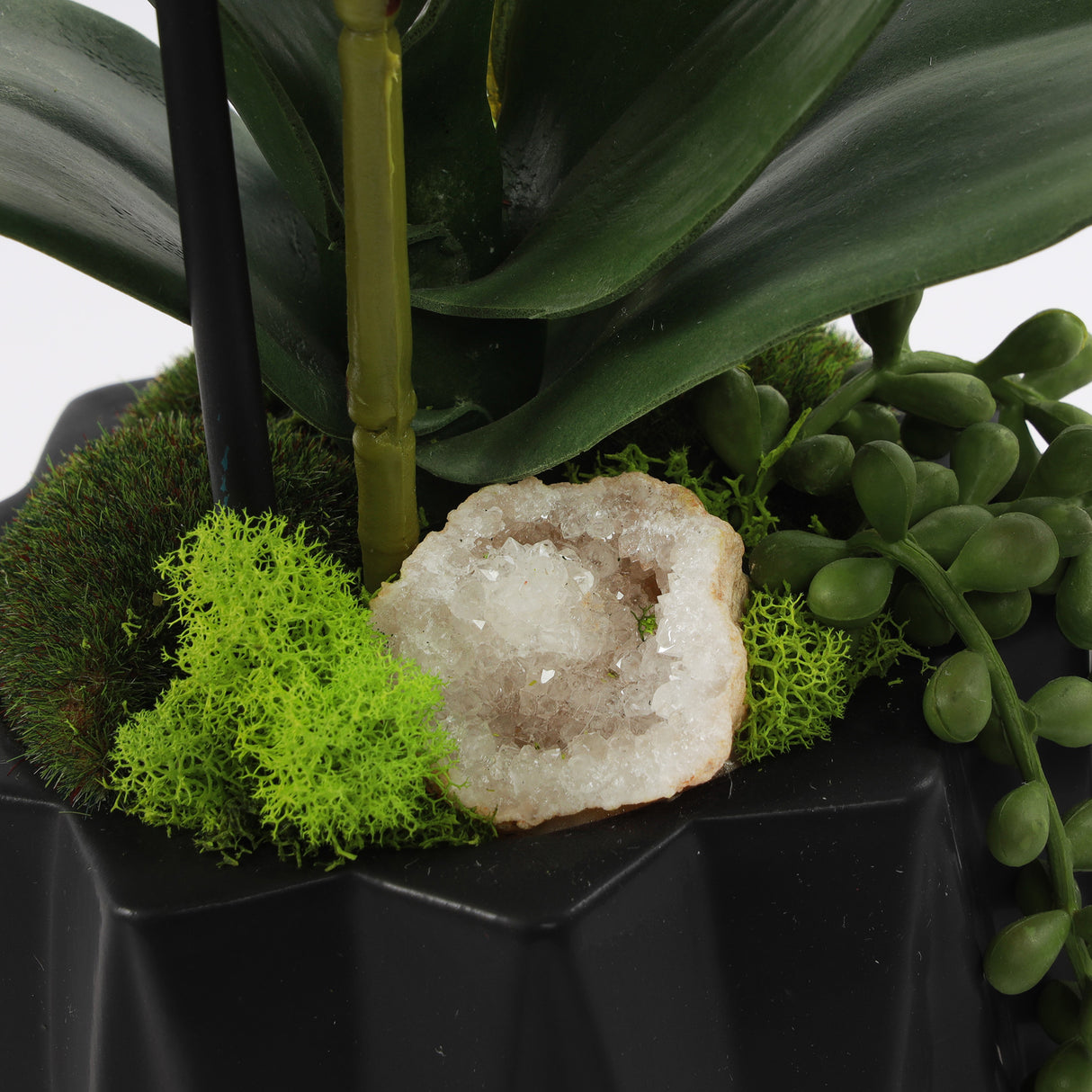 Modern Cream White Faux Orchids Arrangement in Black Matte Ceramic Pot #F-191