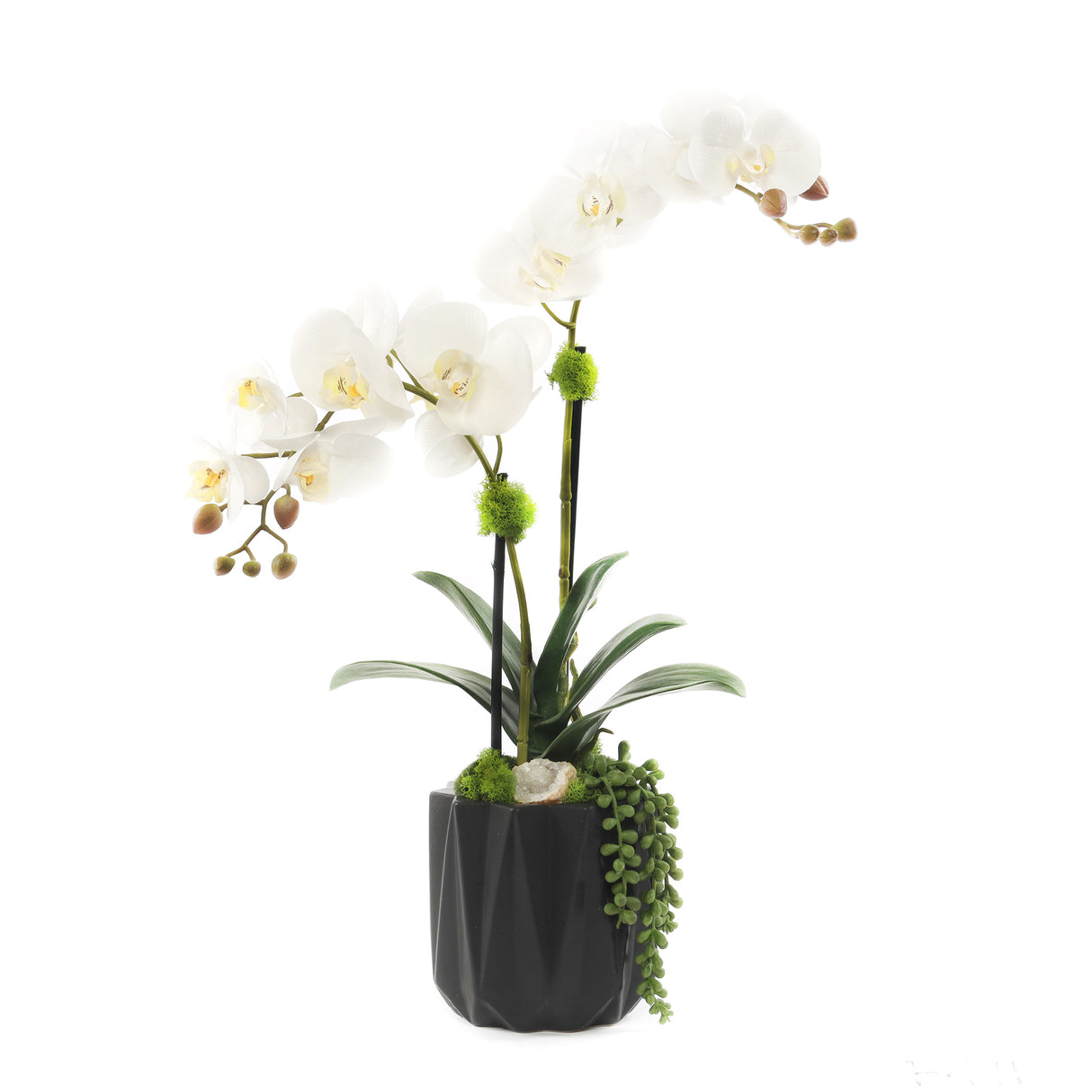 Modern Cream White Faux Orchids Arrangement in Black Matte Ceramic Pot #F-191