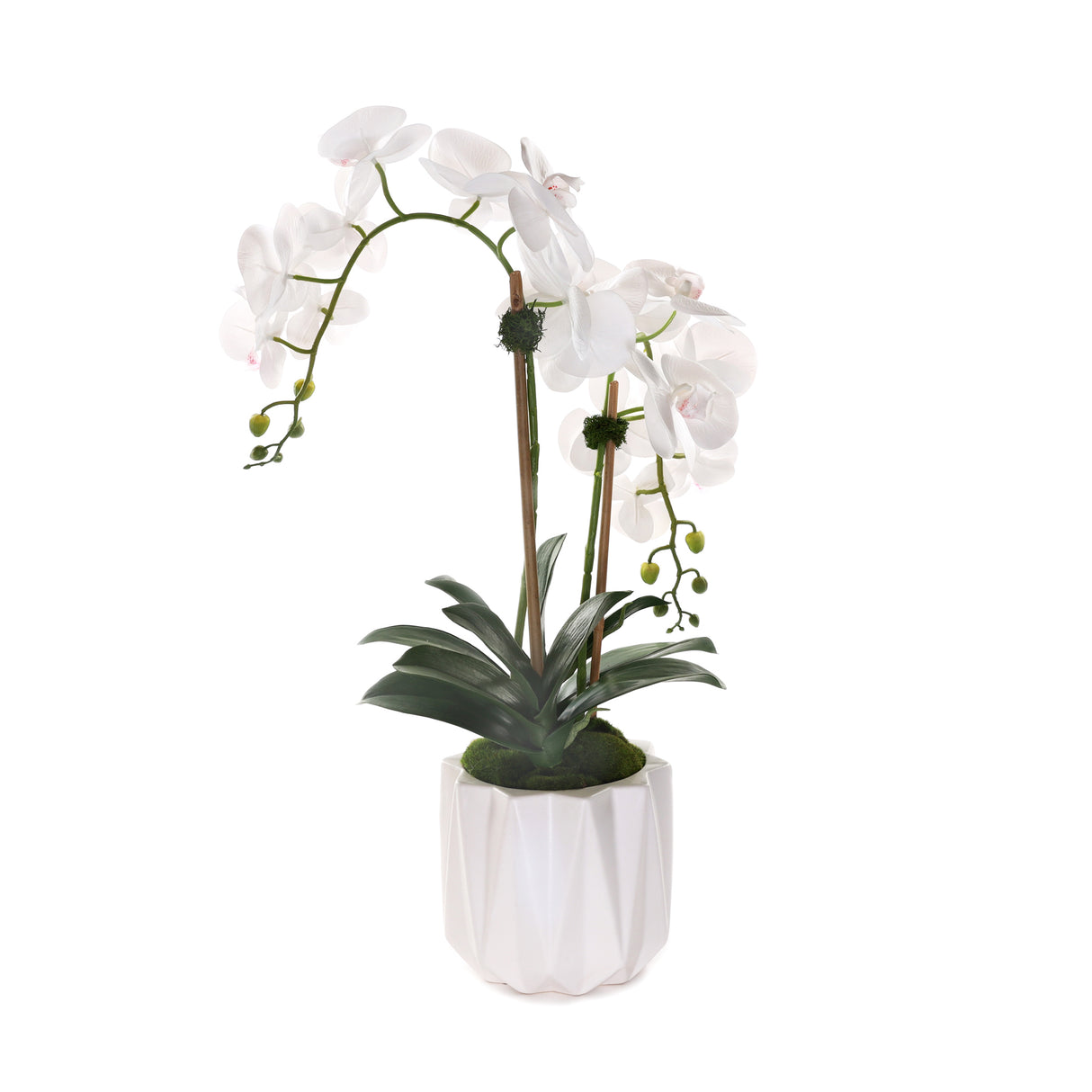 Real Touch Phalaenopsis Orchids in White Dimensional Pot#F-198