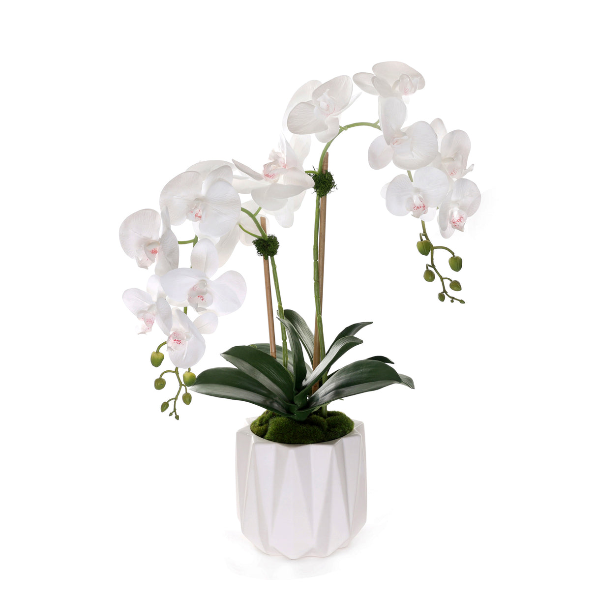 Real Touch Phalaenopsis Orchids in White Dimensional Pot#F-198
