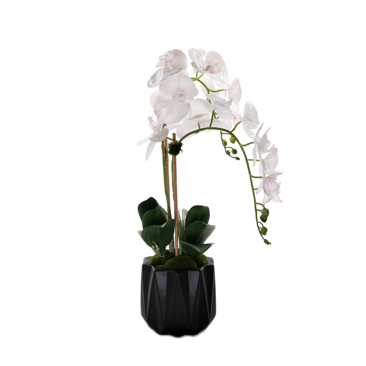 Real Touch Phalaenopsis Orchids in Black Dimensional Pot#F-199
