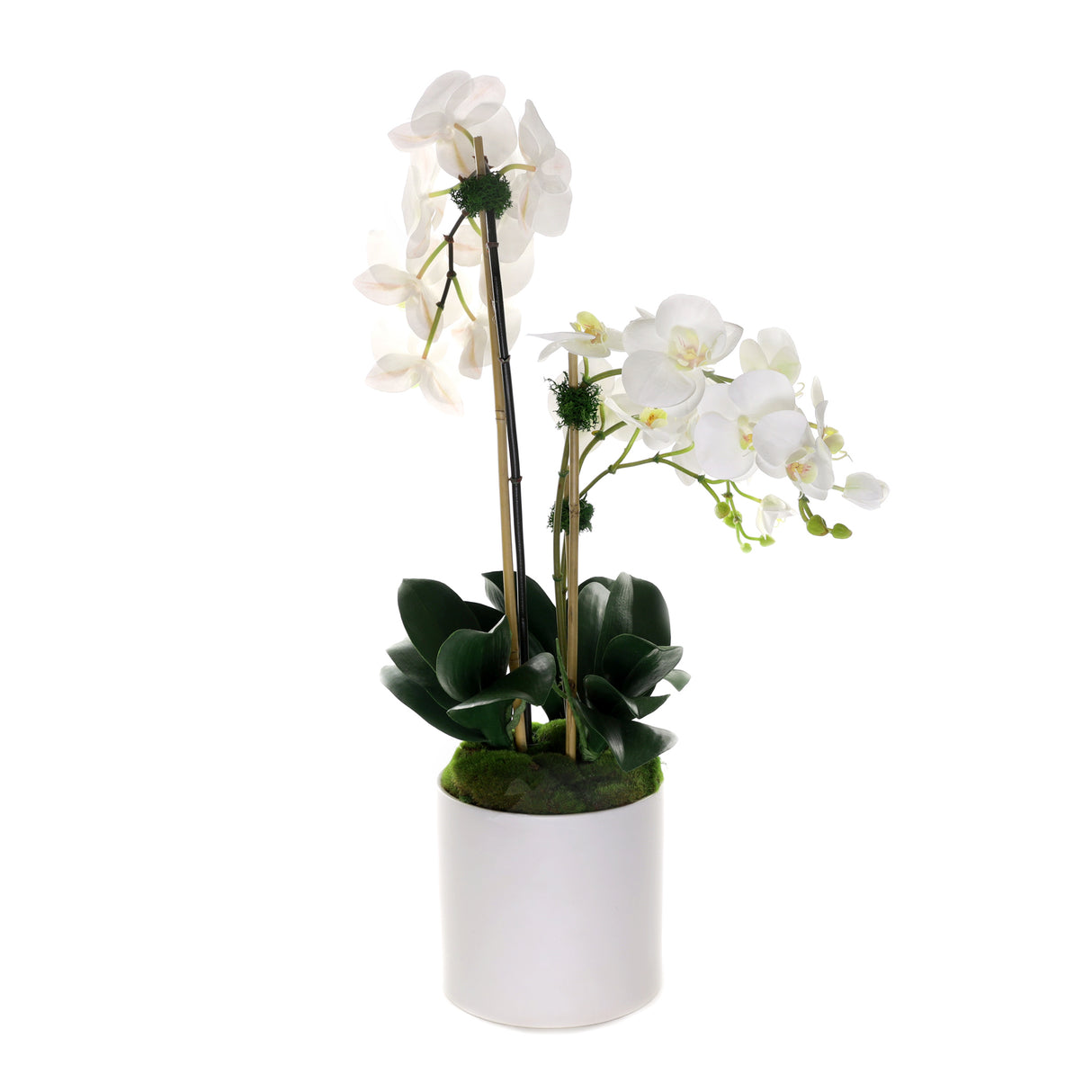 Real Touch Phalaenopsis Orchids in White Cylinder Pot #F-203