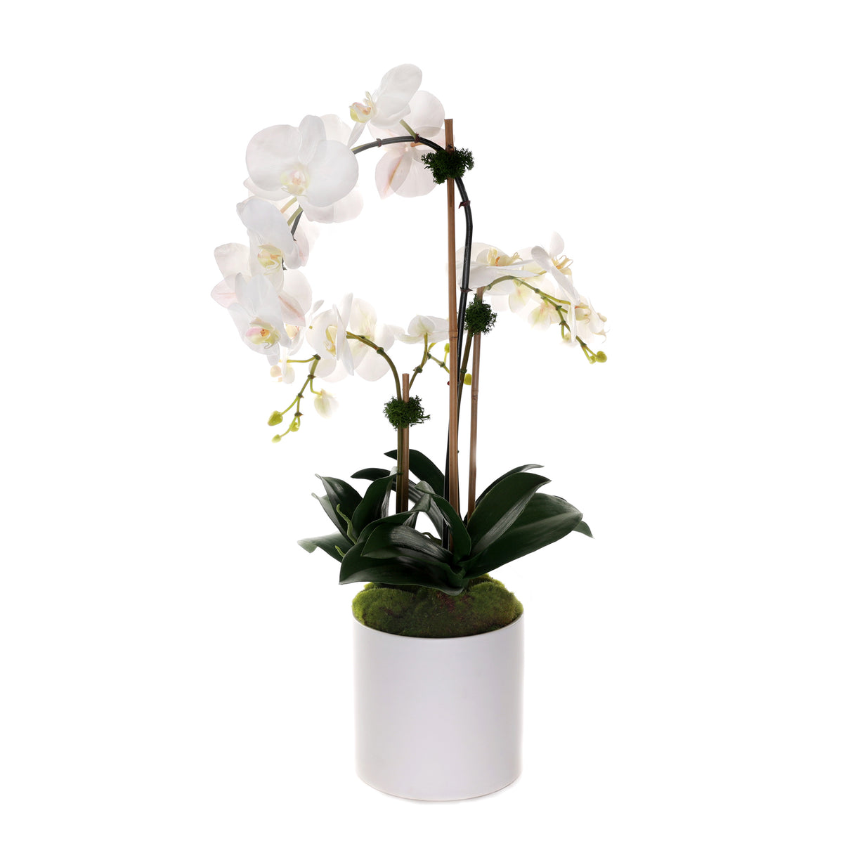 Real Touch Phalaenopsis Orchids in White Cylinder Pot #F-203