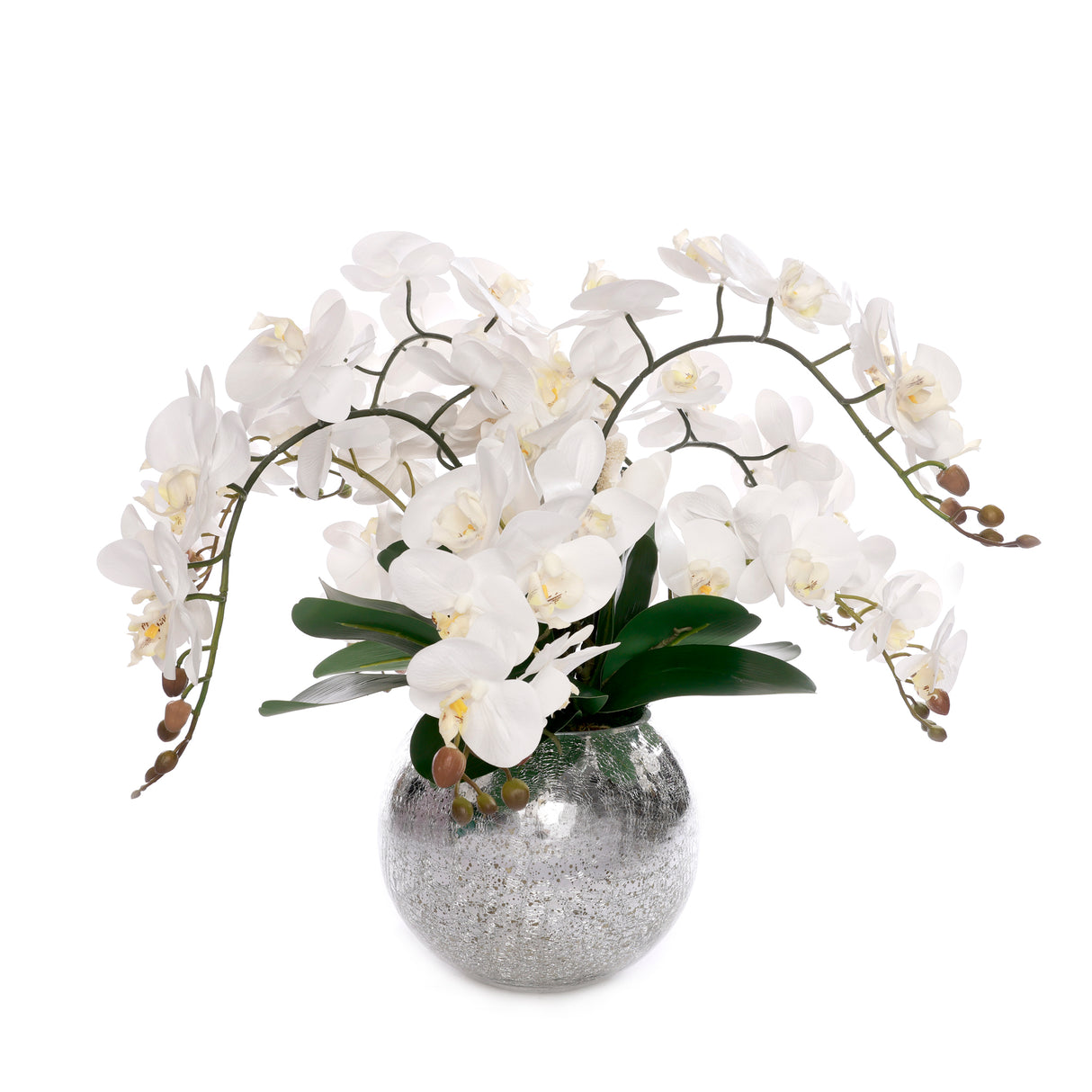 Real Touch Phalaenopsis Orchids in Sliver Glass Ball# F-204