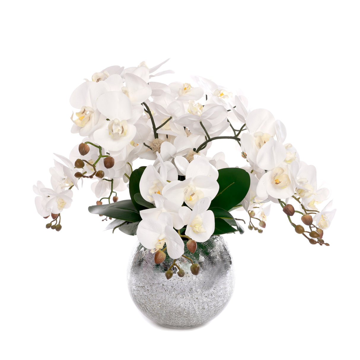 Real Touch Phalaenopsis Orchids in Sliver Glass Ball# F-204