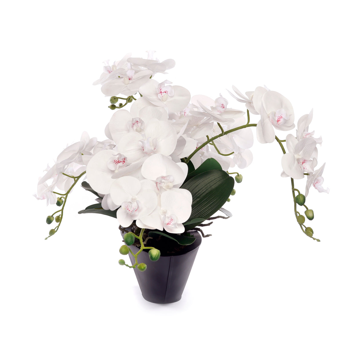 White Real Touch Phalaenopsis Orchids in Modern Black Pot #F-205