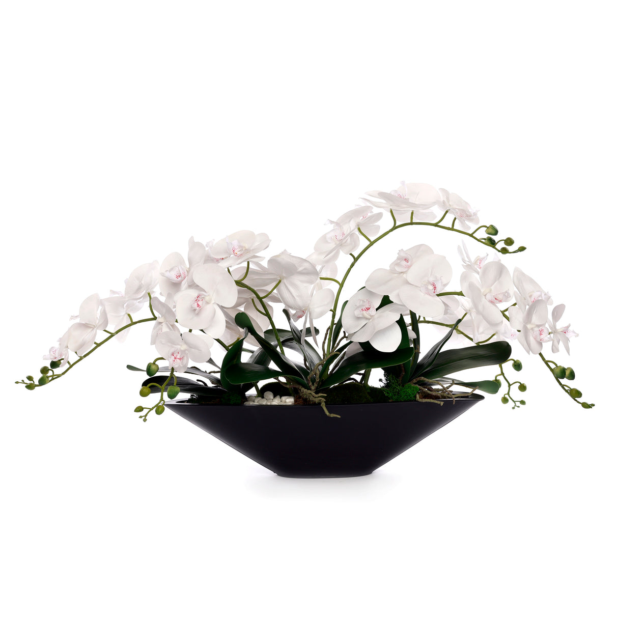 White Real Touch Phalaenopsis Orchids in Modern Black Pot #F-205