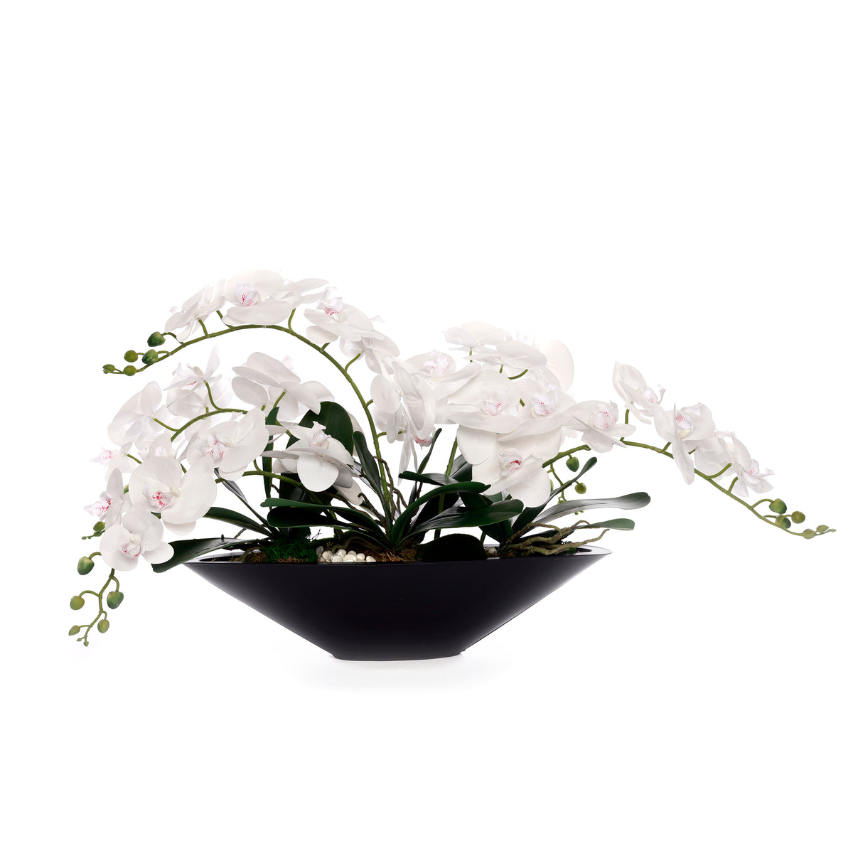 White Real Touch Phalaenopsis Orchids in Modern Black Pot #F-205