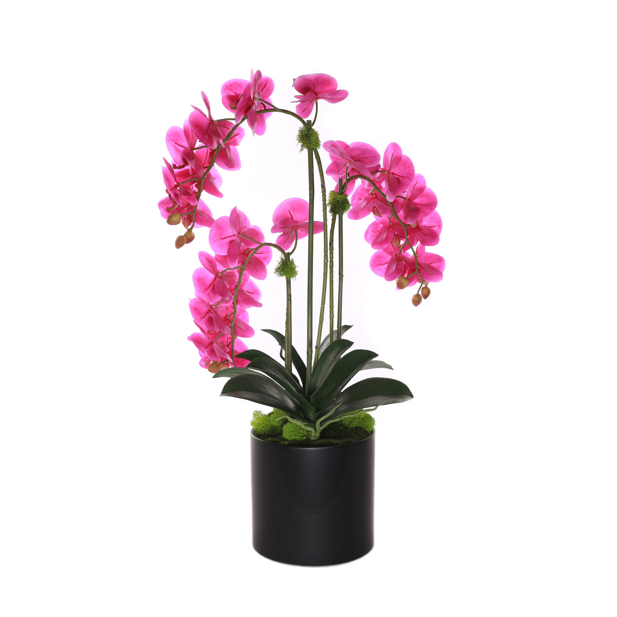 Purple Real Touch Orchid with Amethyst in Black Cylinder Pot #F-215