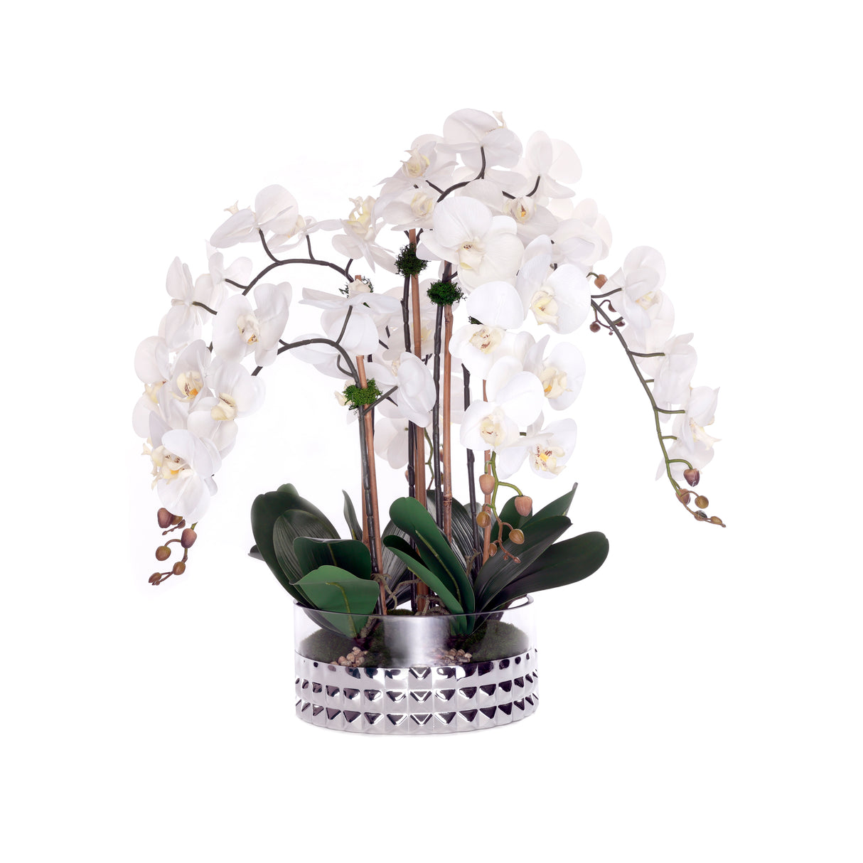 Real Touch Phalaenopsis Orchids /Moss/pebbles in Glass Silver Bowl #F-222