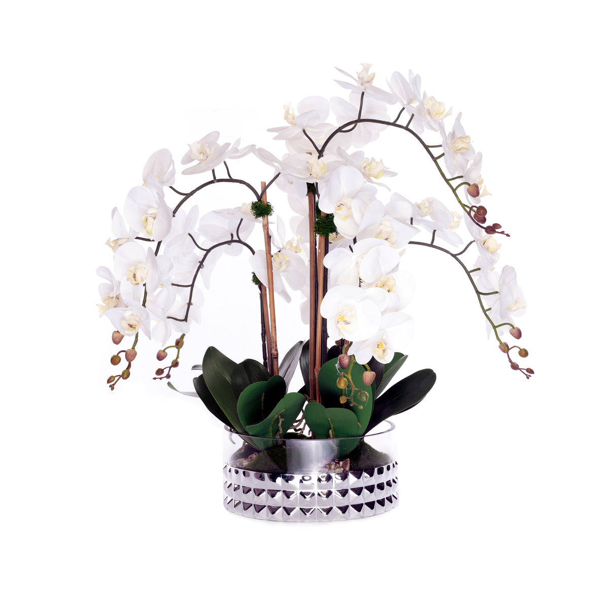 Real Touch Phalaenopsis Orchids /Moss/pebbles in Glass Silver Bowl #F-222