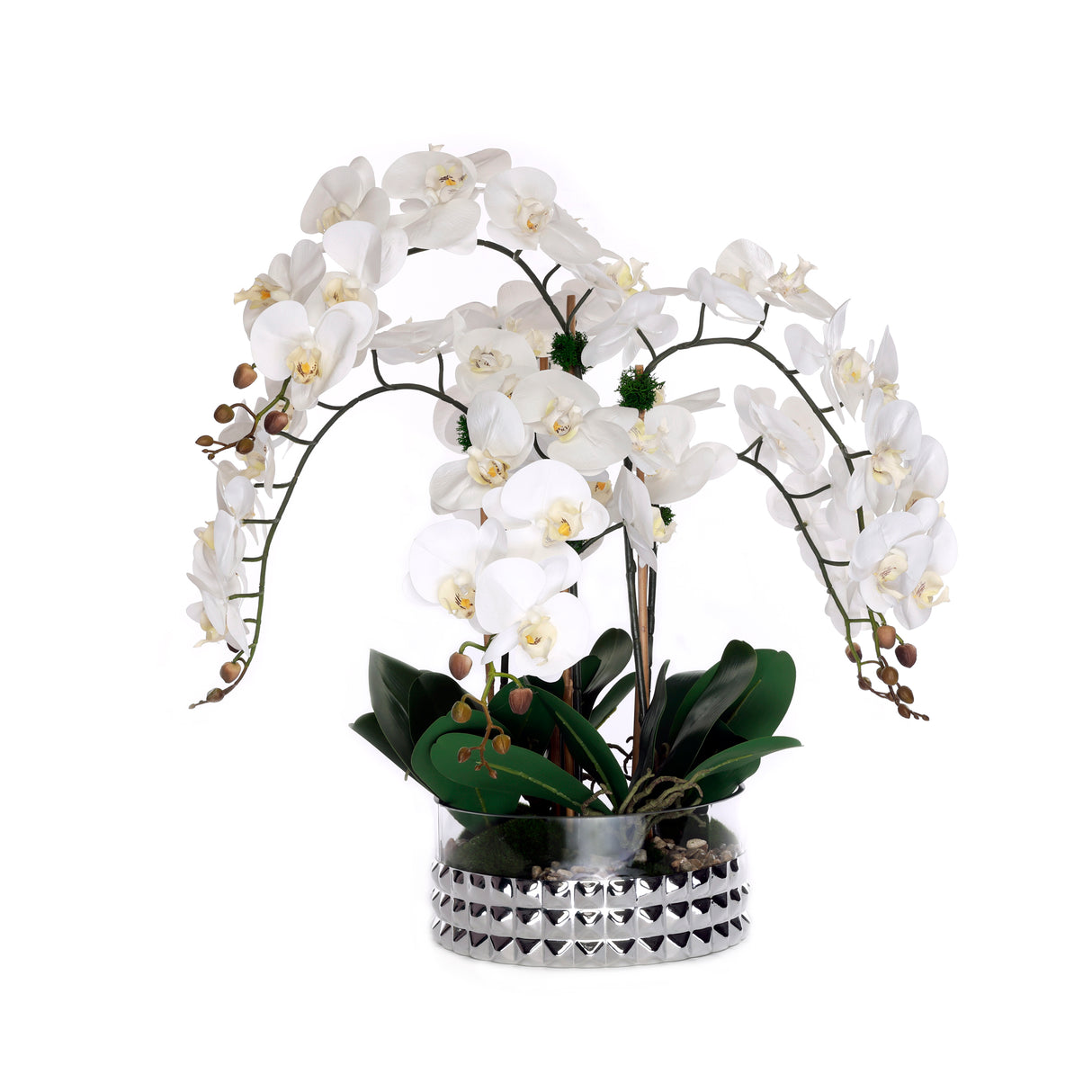 Real Touch Phalaenopsis Orchids /Moss/pebbles in Glass Silver Bowl #F-222