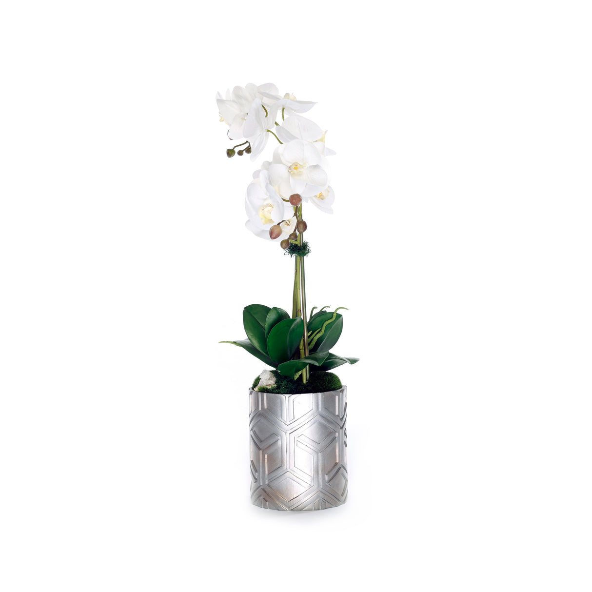 Real Touch Orchids Arrangement in Décor Silver Pot #F-223