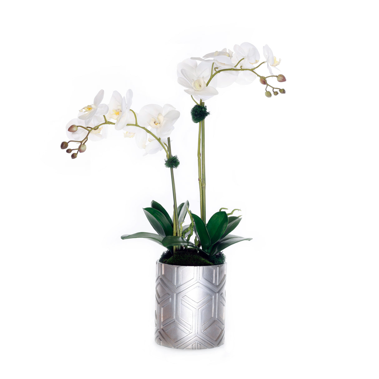 Real Touch Orchids Arrangement in Décor Silver Pot #F-223