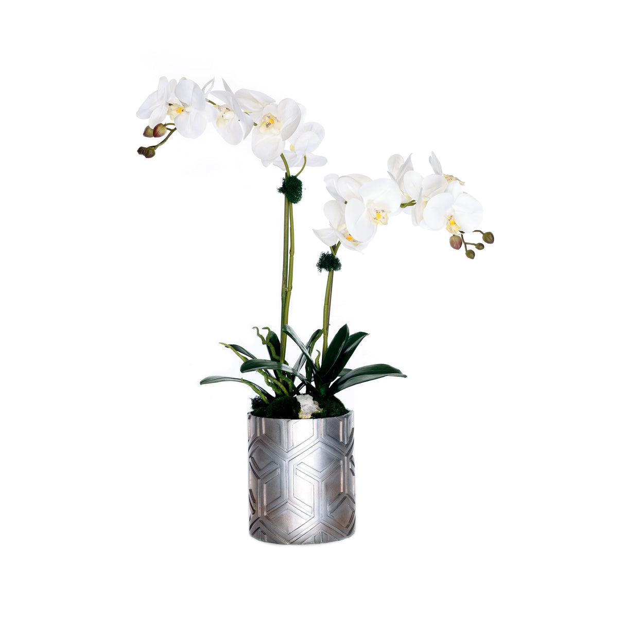 Real Touch Orchids Arrangement in Décor Silver Pot #F-223