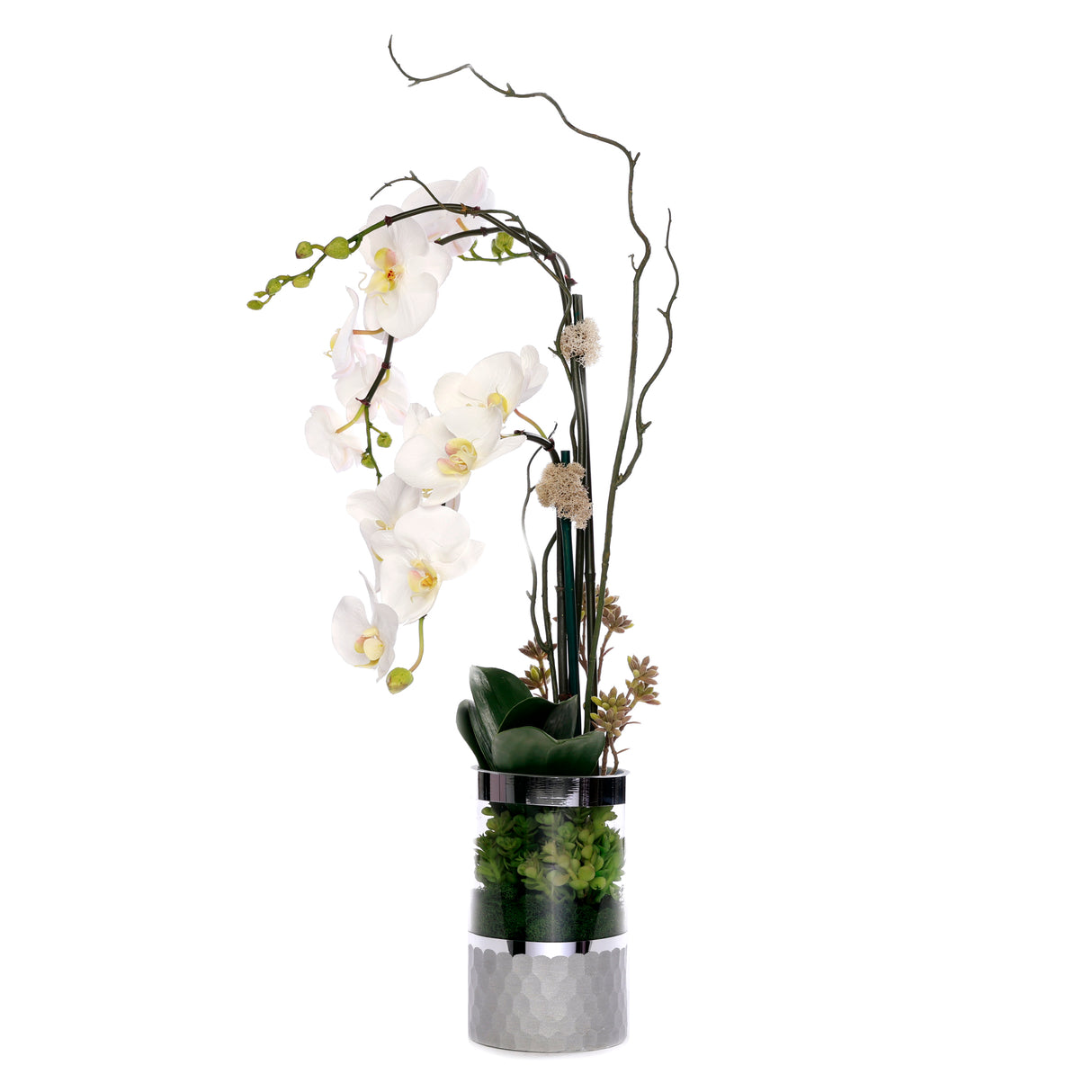 White Phalaenopsis Orchid Flower Arrangement in Round Silver Cylinder Glass Vase #F-227