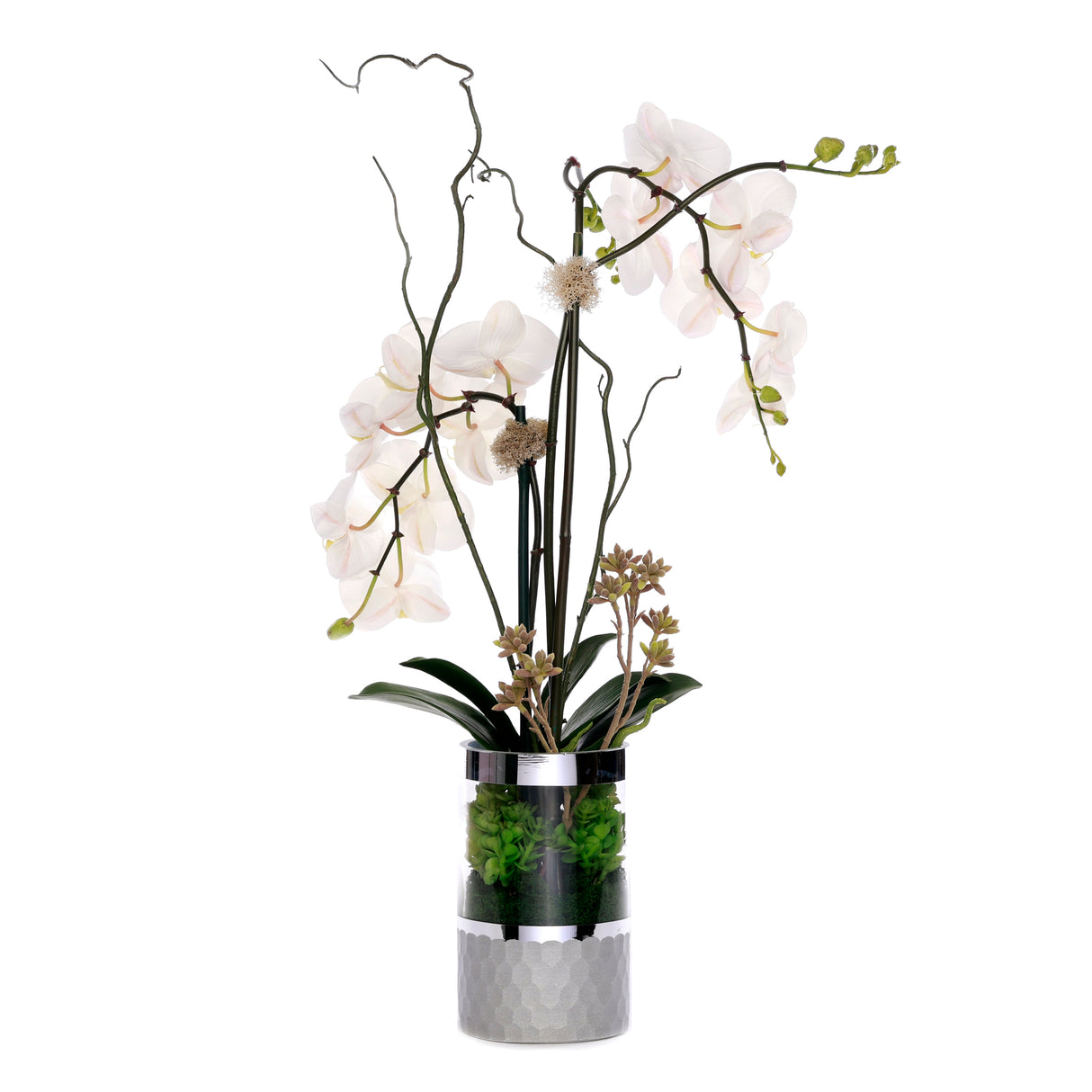 White Phalaenopsis Orchid Flower Arrangement in Round Silver Cylinder Glass Vase #F-227