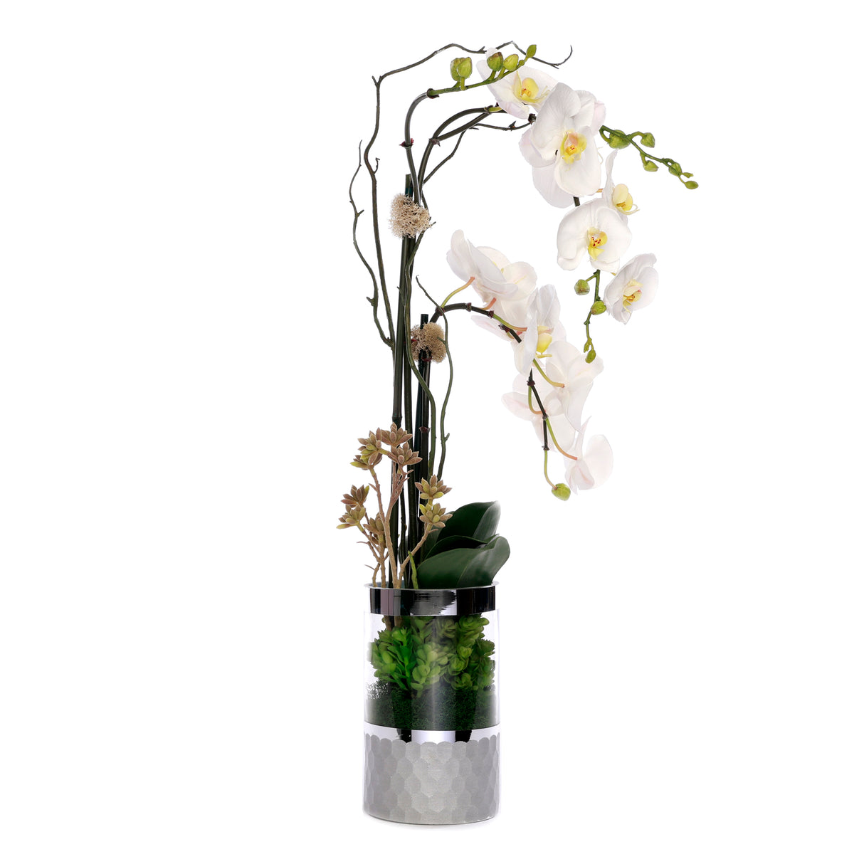 White Phalaenopsis Orchid Flower Arrangement in Round Silver Cylinder Glass Vase #F-227