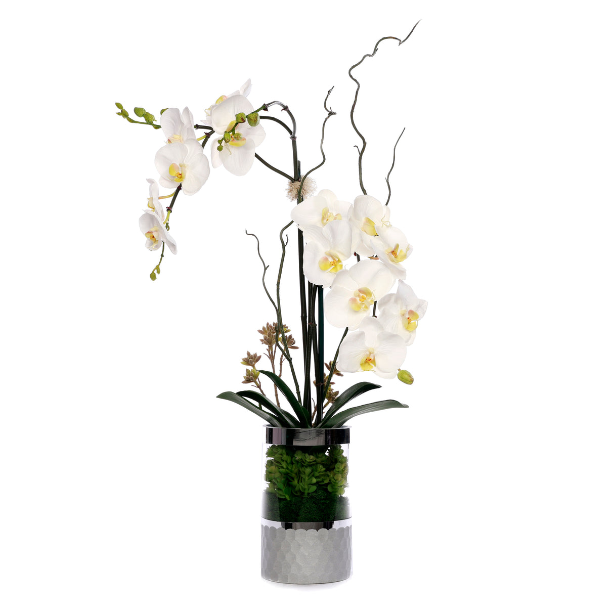 White Phalaenopsis Orchid Flower Arrangement in Round Silver Cylinder Glass Vase #F-227