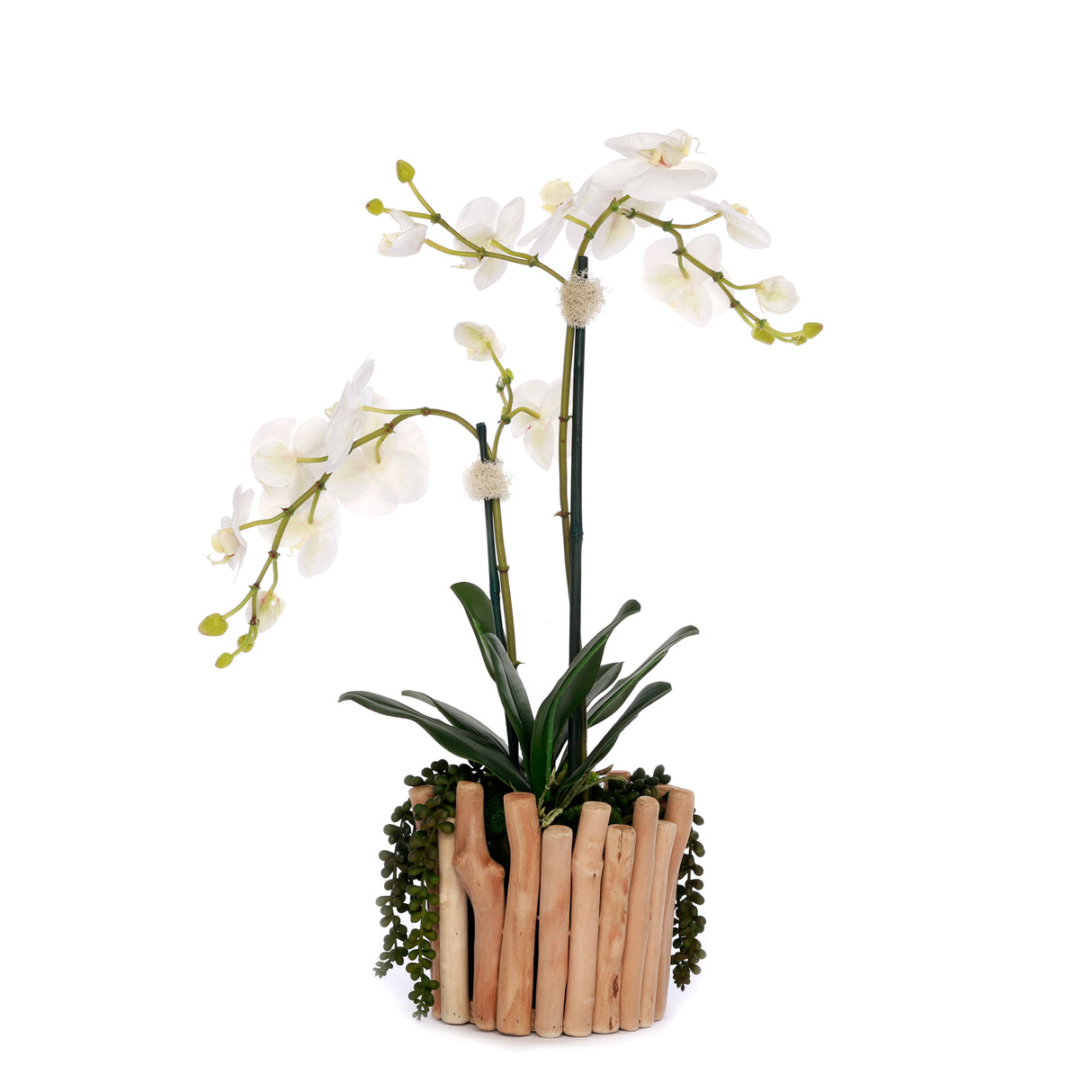 Real Touch Orchids in Glass Vase Wood Branches Planter #F-229