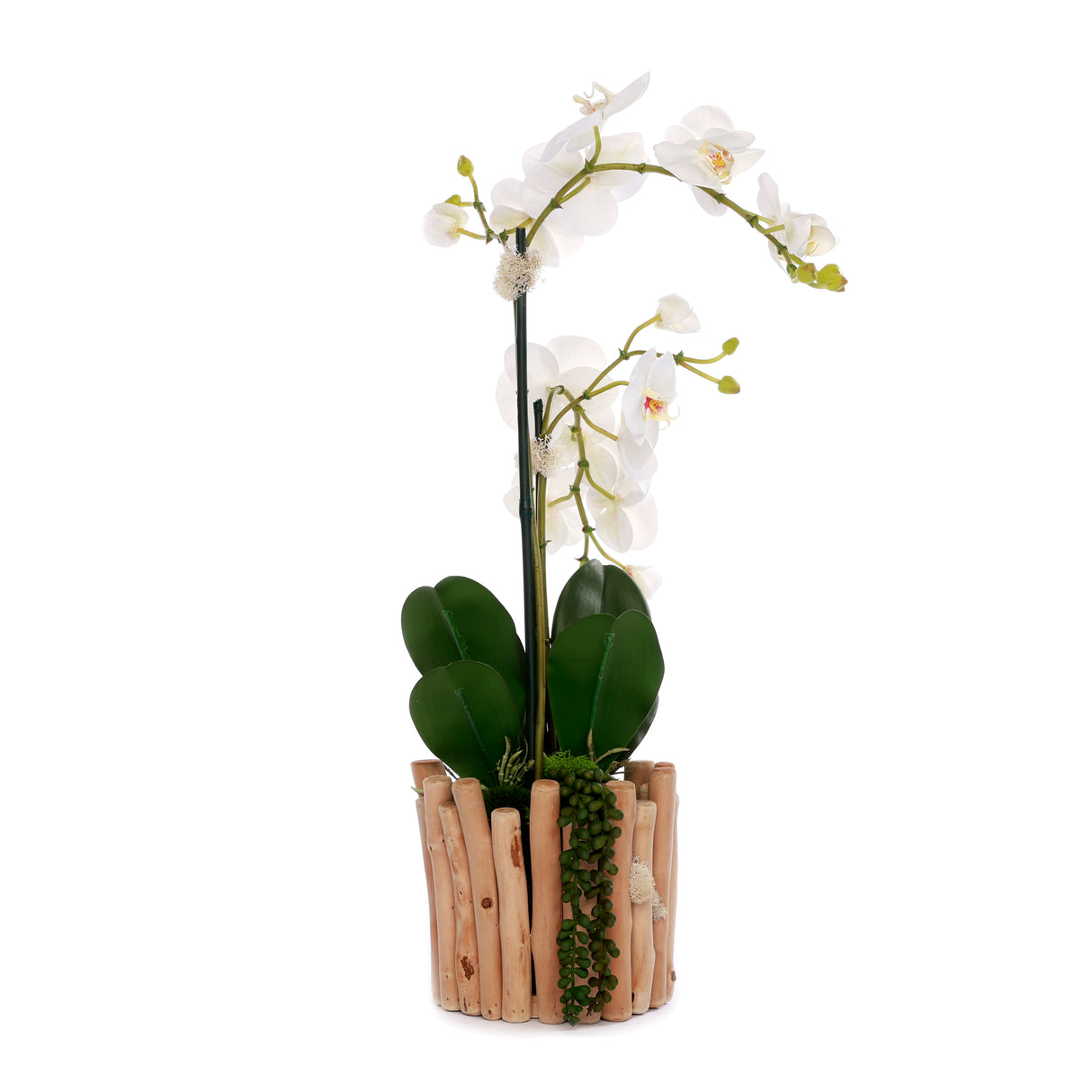 Real Touch Orchids in Glass Vase Wood Branches Planter #F-229
