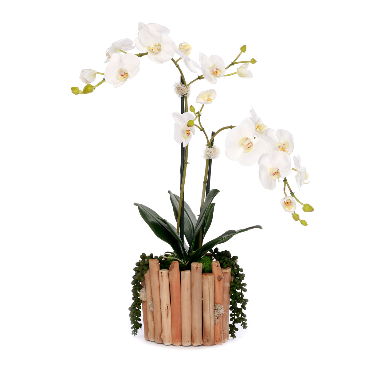 Real Touch Orchids in Glass Vase Wood Branches Planter #F-229