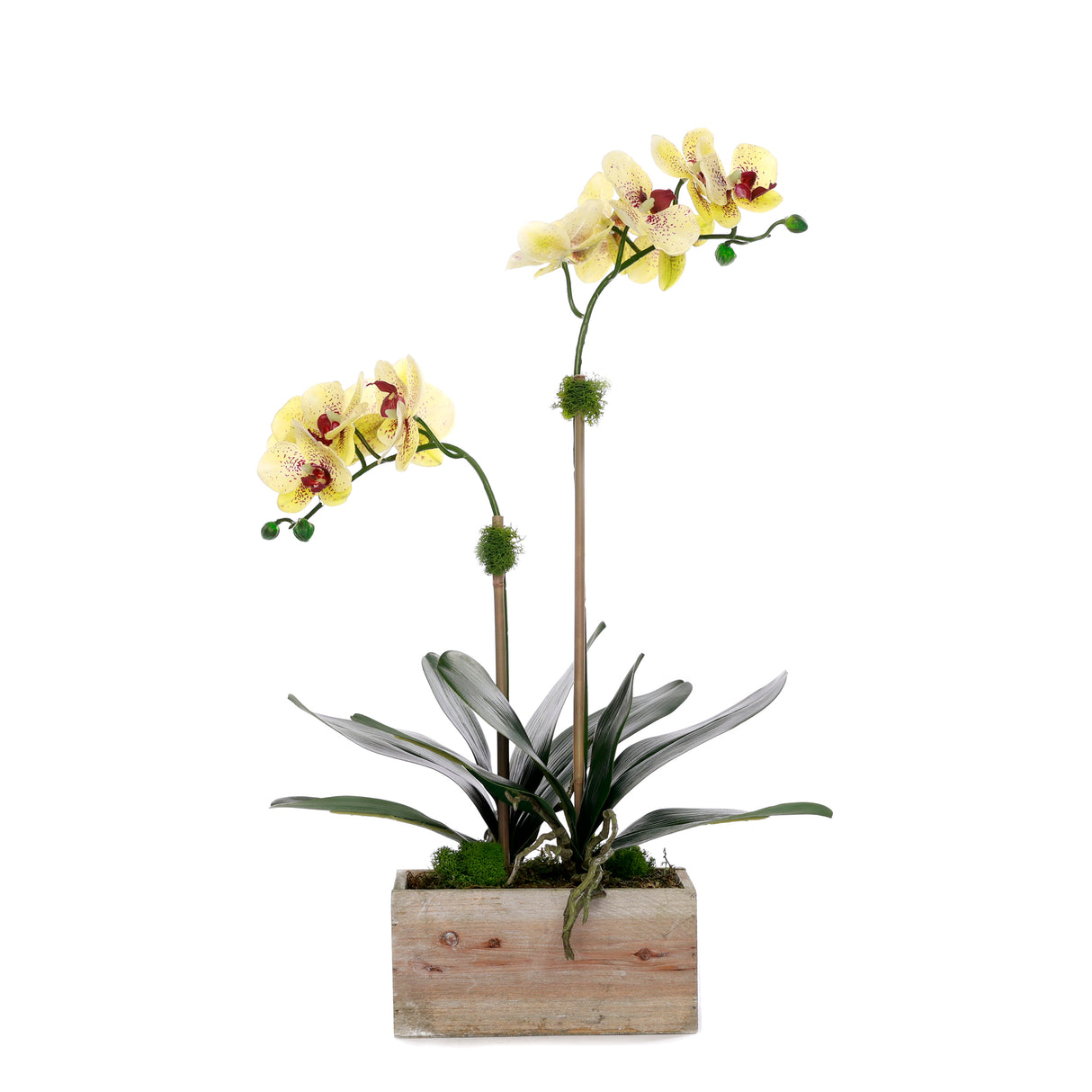 Yellow Real Touch Orchid Flower Arrangement in White Rectangular Pot #F-231