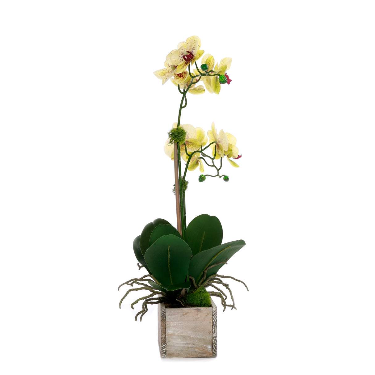 Yellow Real Touch Orchid Flower Arrangement in White Rectangular Pot #F-231