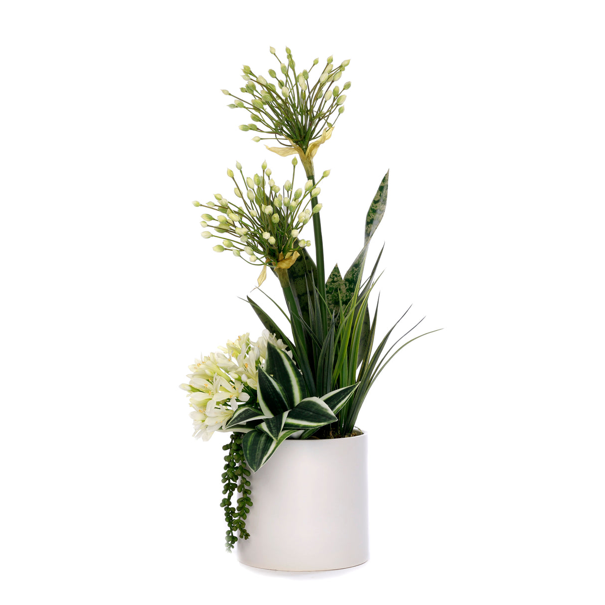 Agapanthus Flower Arrangement in White Cyclinder Planter #F-232