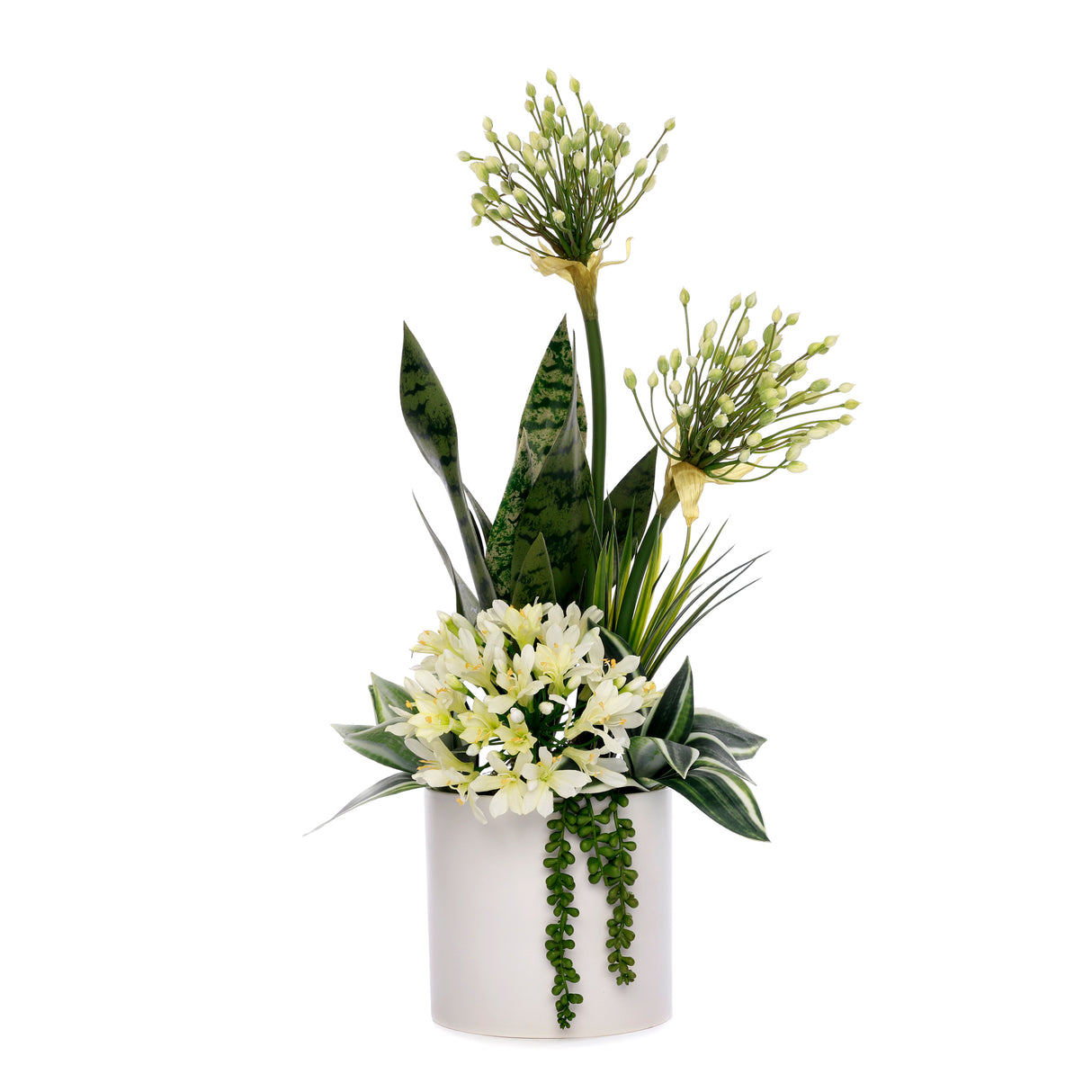 Agapanthus Flower Arrangement in White Cyclinder Planter #F-232