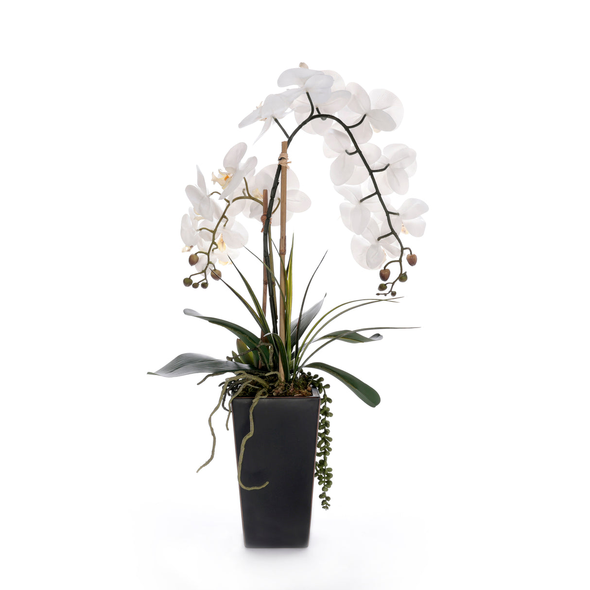 Real Touch White Orchid Flower Arrangement in Black Pot #F-239
