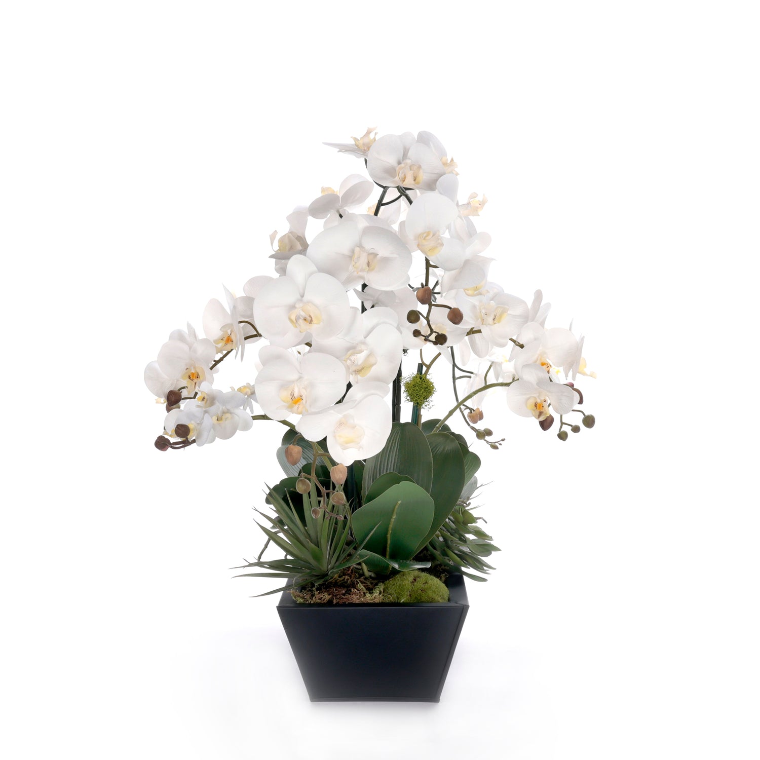 Real Touch White Orchid Flower Arrangement in Black Planter #F-240