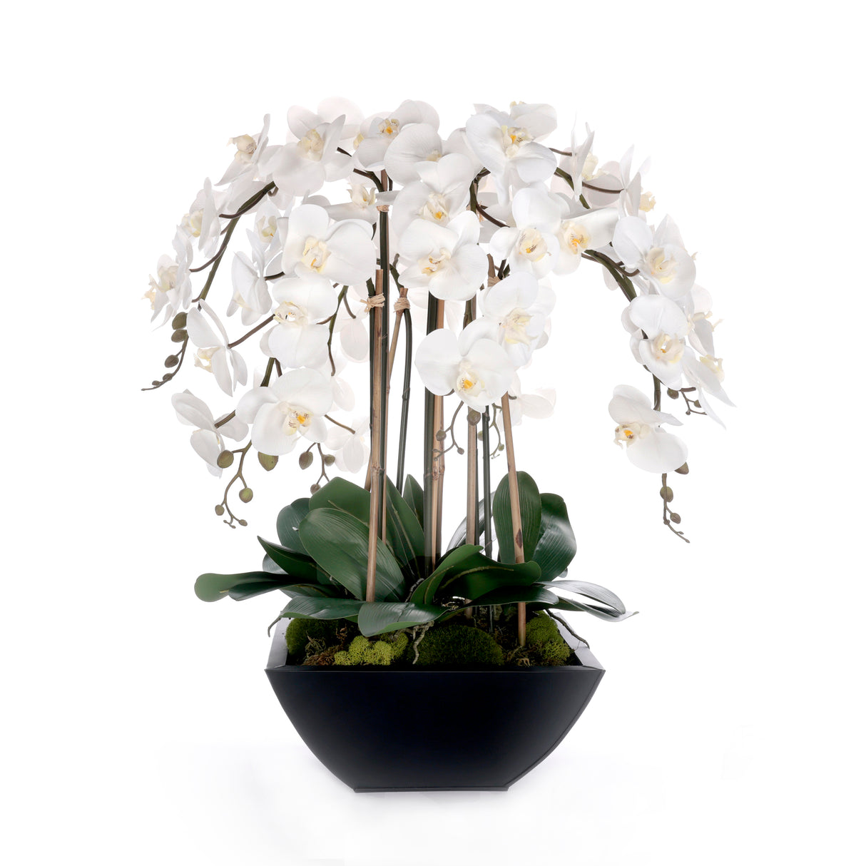 Real Touch White Orchids Flower Arrangement in Black Pot #F-241