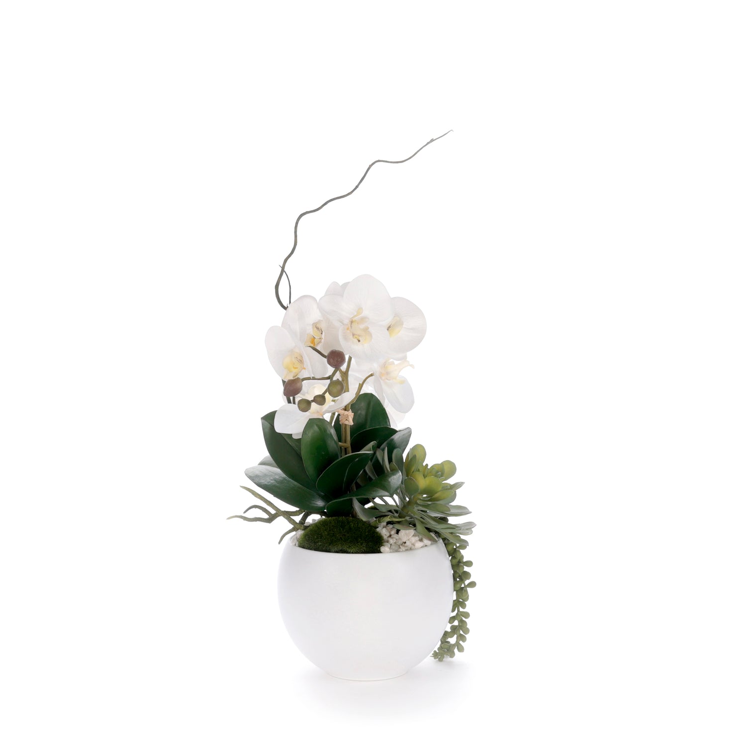 Real Touch White Orchid Flower Arrangement in White Bowl #F-244