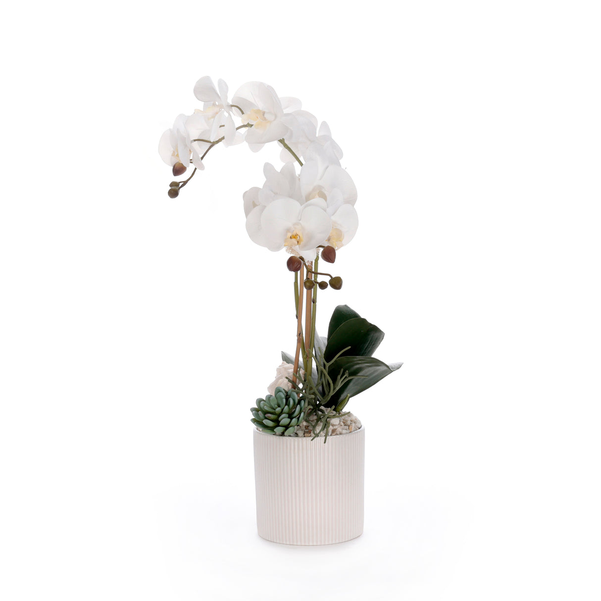 Real Touch White Orchid Flower Arrangement in White Pot #F-248